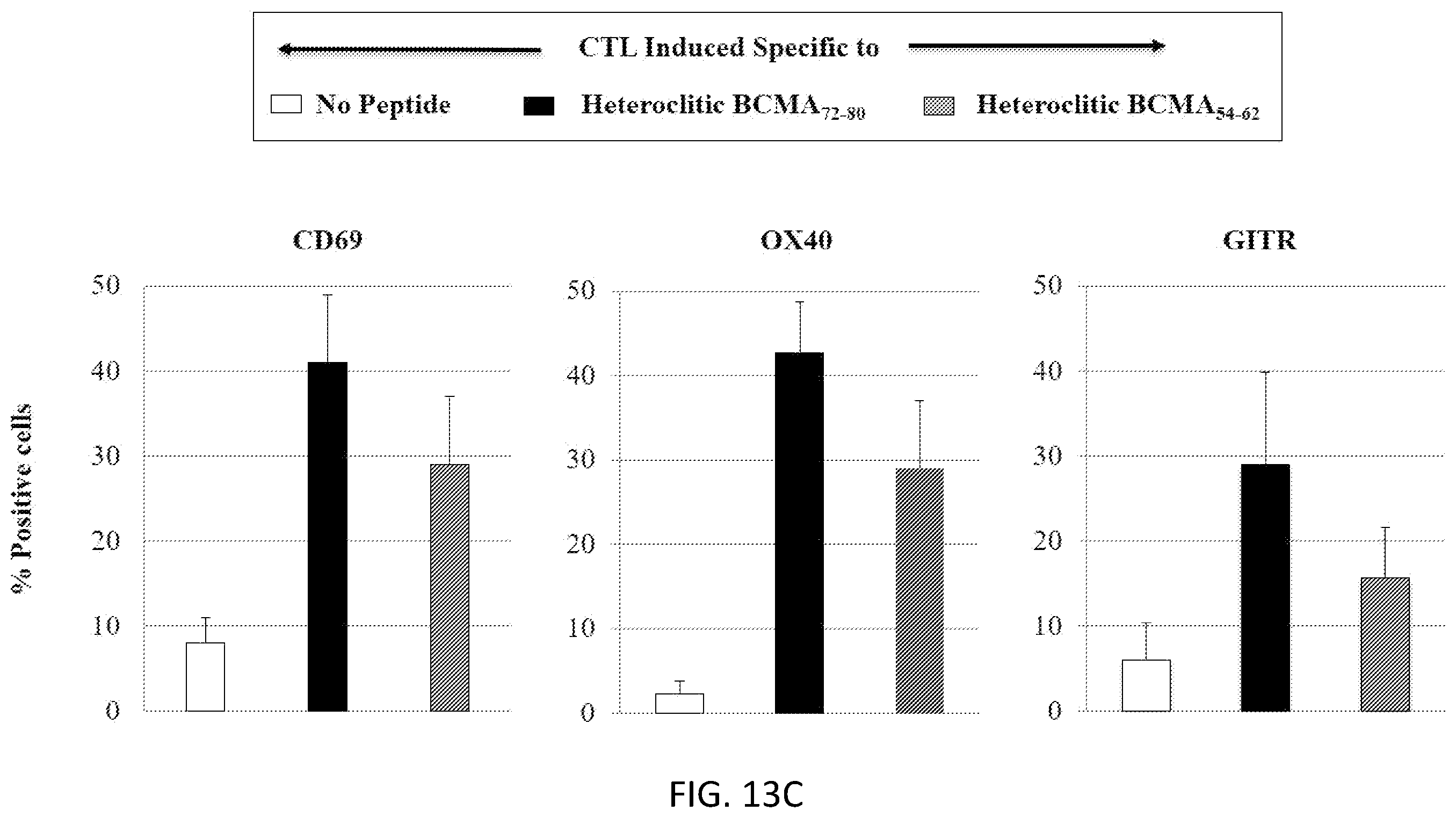 Patent US12448429 Figure 17 – T cell receptors specific to b-cell maturation antigen for treatment of cancer