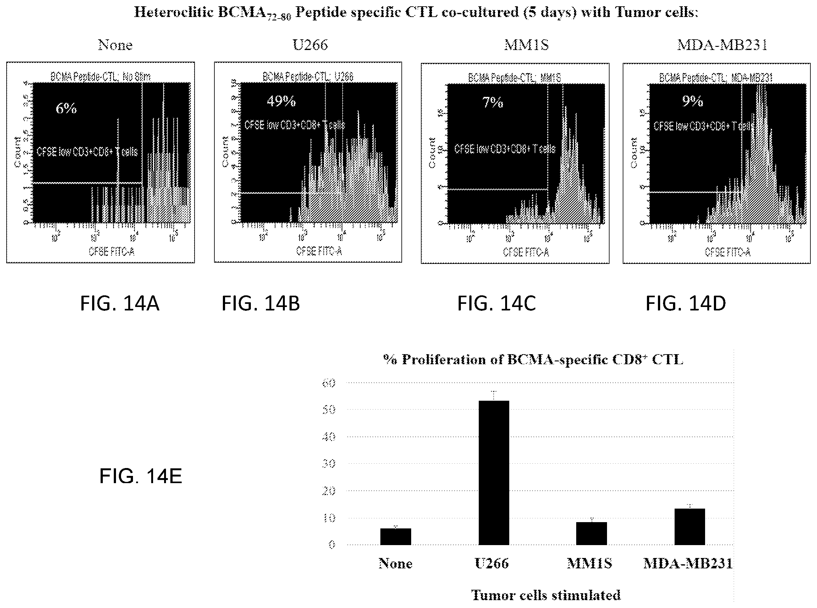 Patent US12448429 Figure 18 – T cell receptors specific to b-cell maturation antigen for treatment of cancer