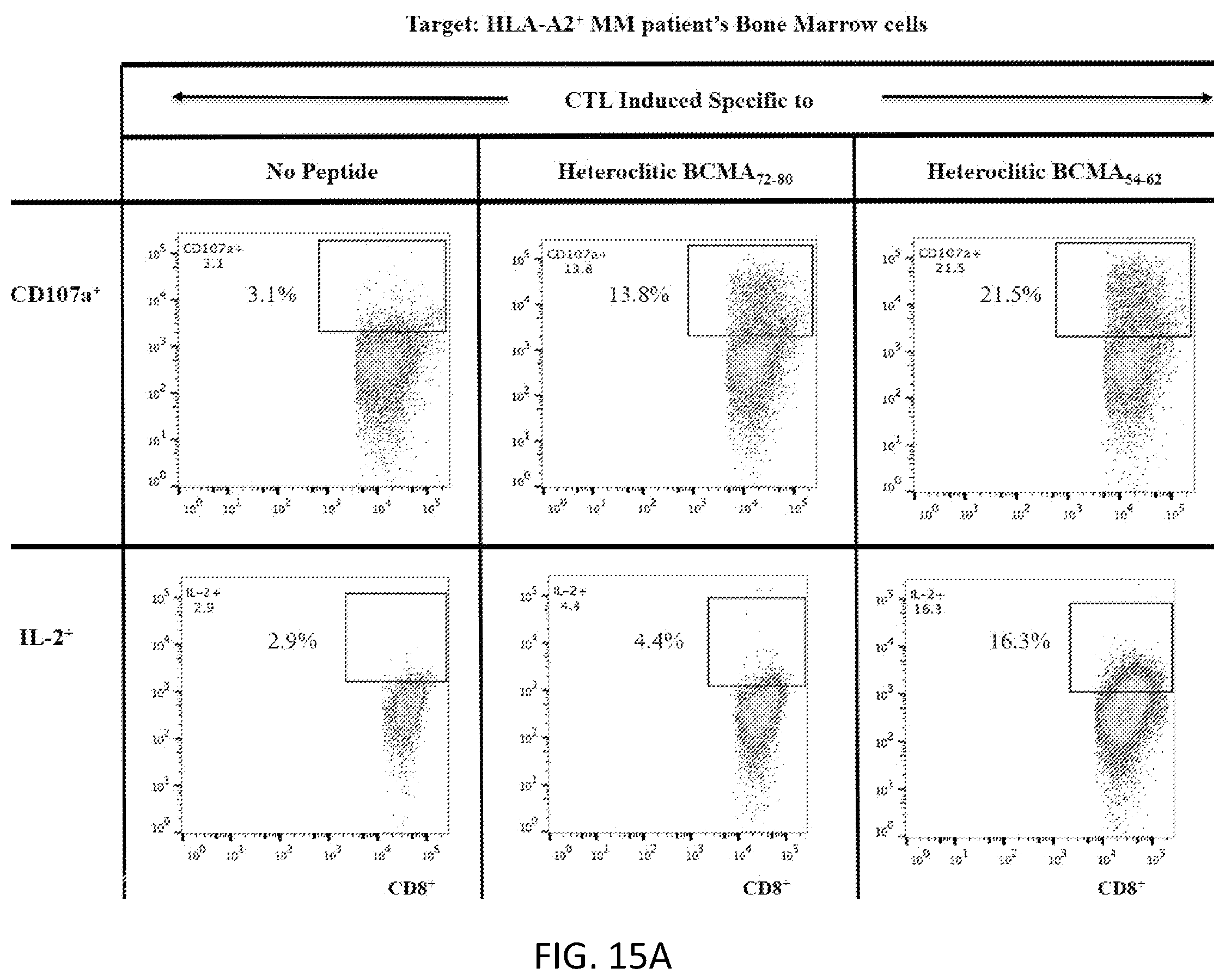 Patent US12448429 Figure 20 – T cell receptors specific to b-cell maturation antigen for treatment of cancer