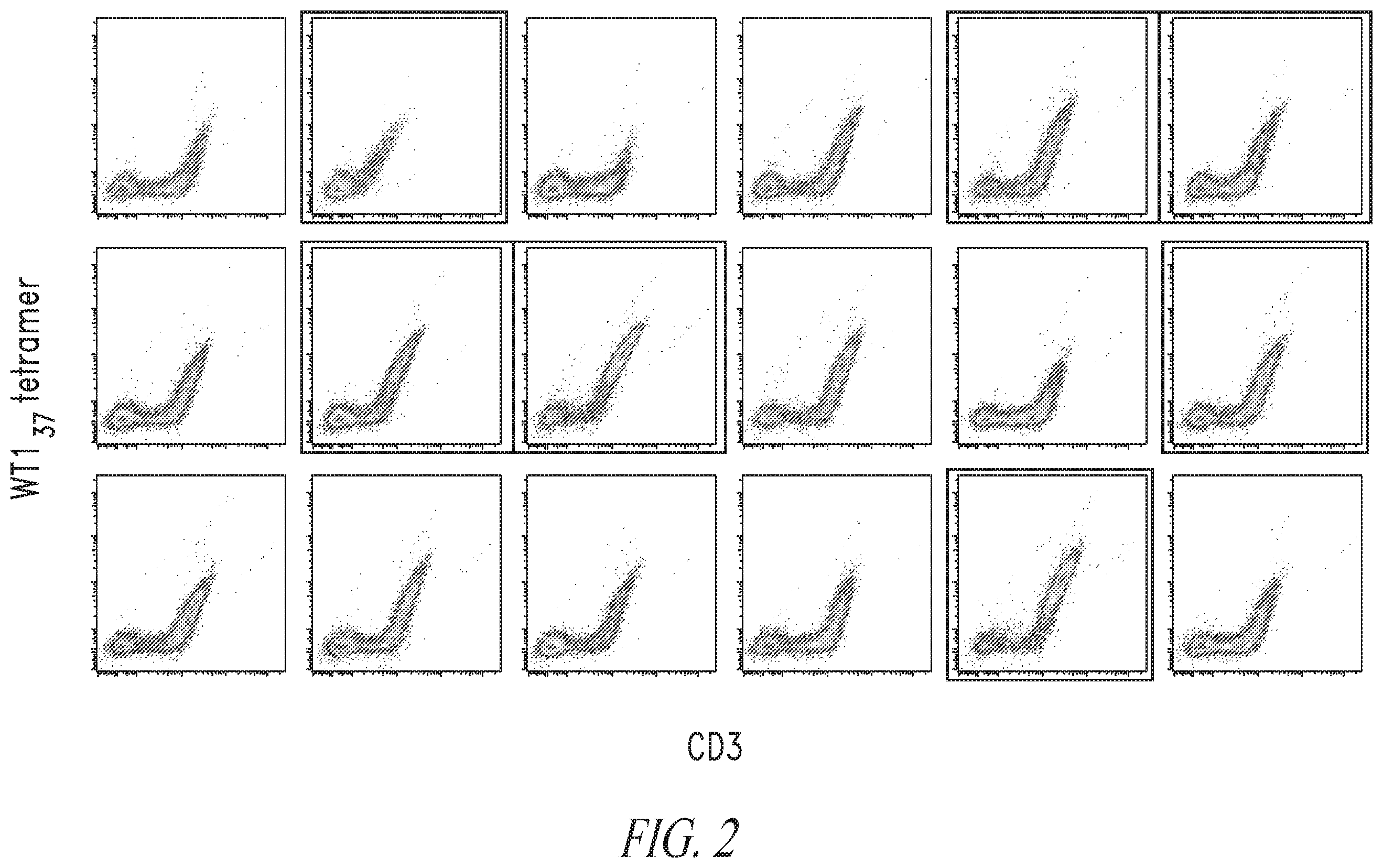 Patent US12448430 Figure 3 – High avidity WT1 T cell receptors and uses thereof