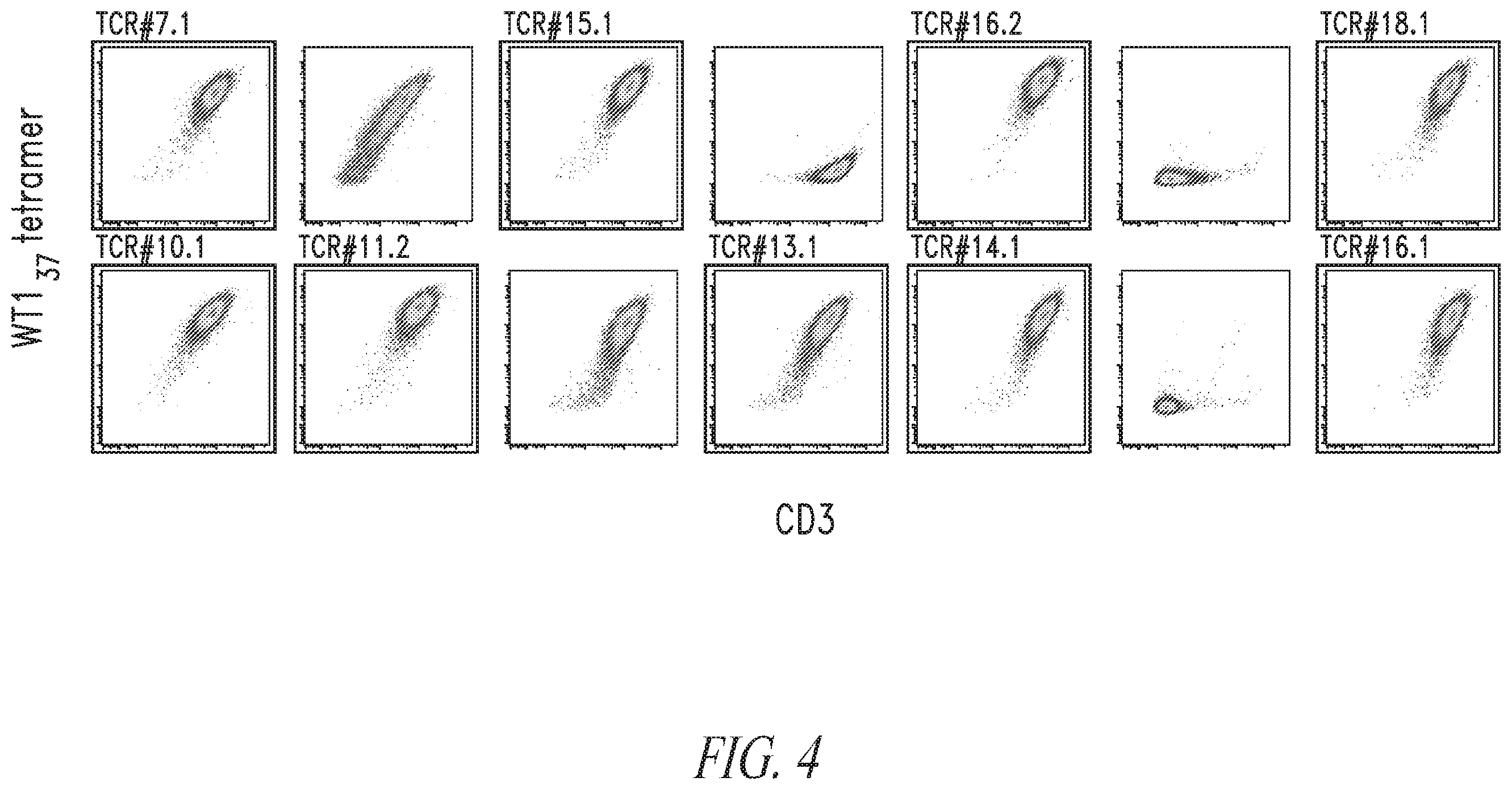 Patent US12448430 Figure 7 – High avidity WT1 T cell receptors and uses thereof