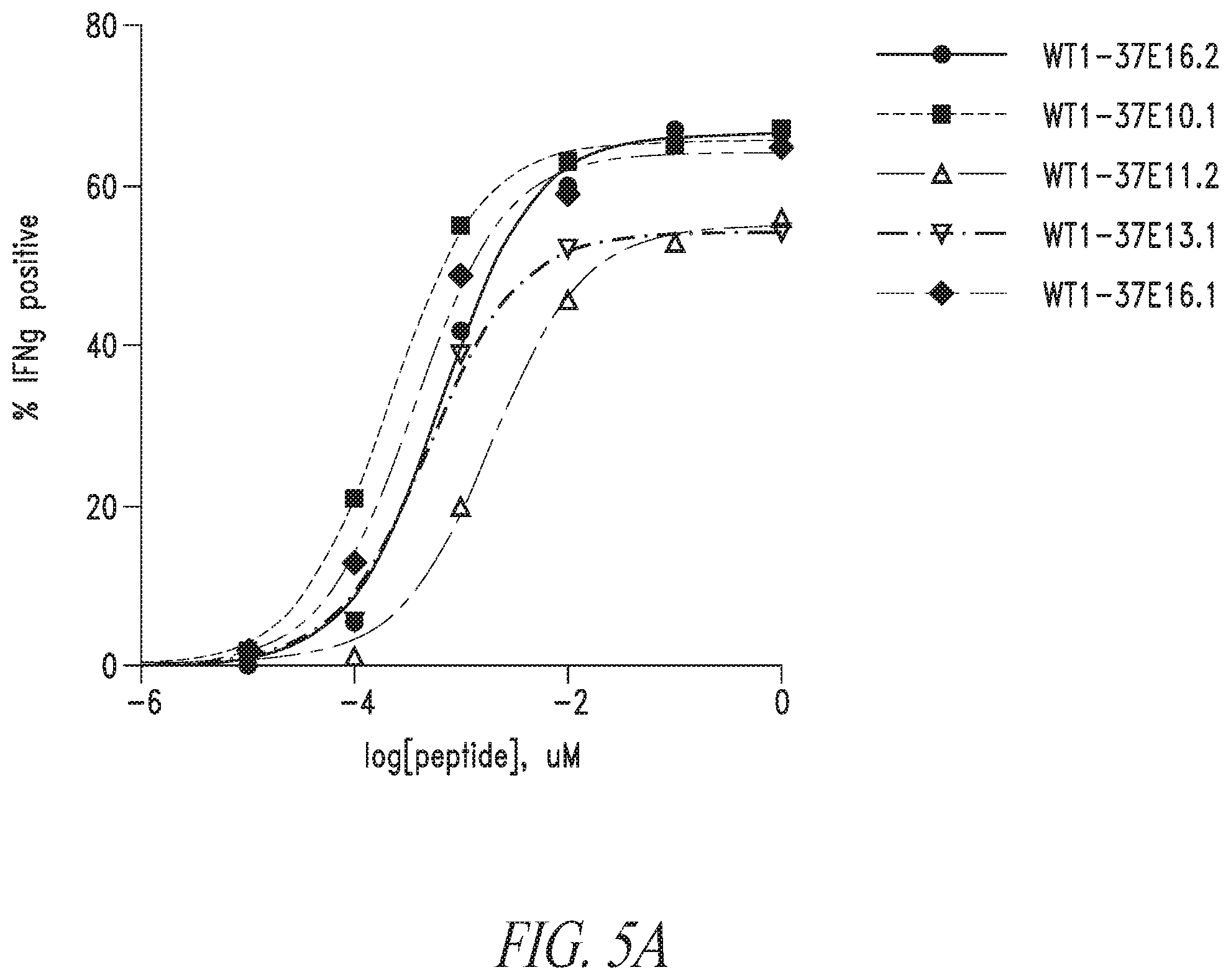 Patent US12448430 Figure 8 – High avidity WT1 T cell receptors and uses thereof