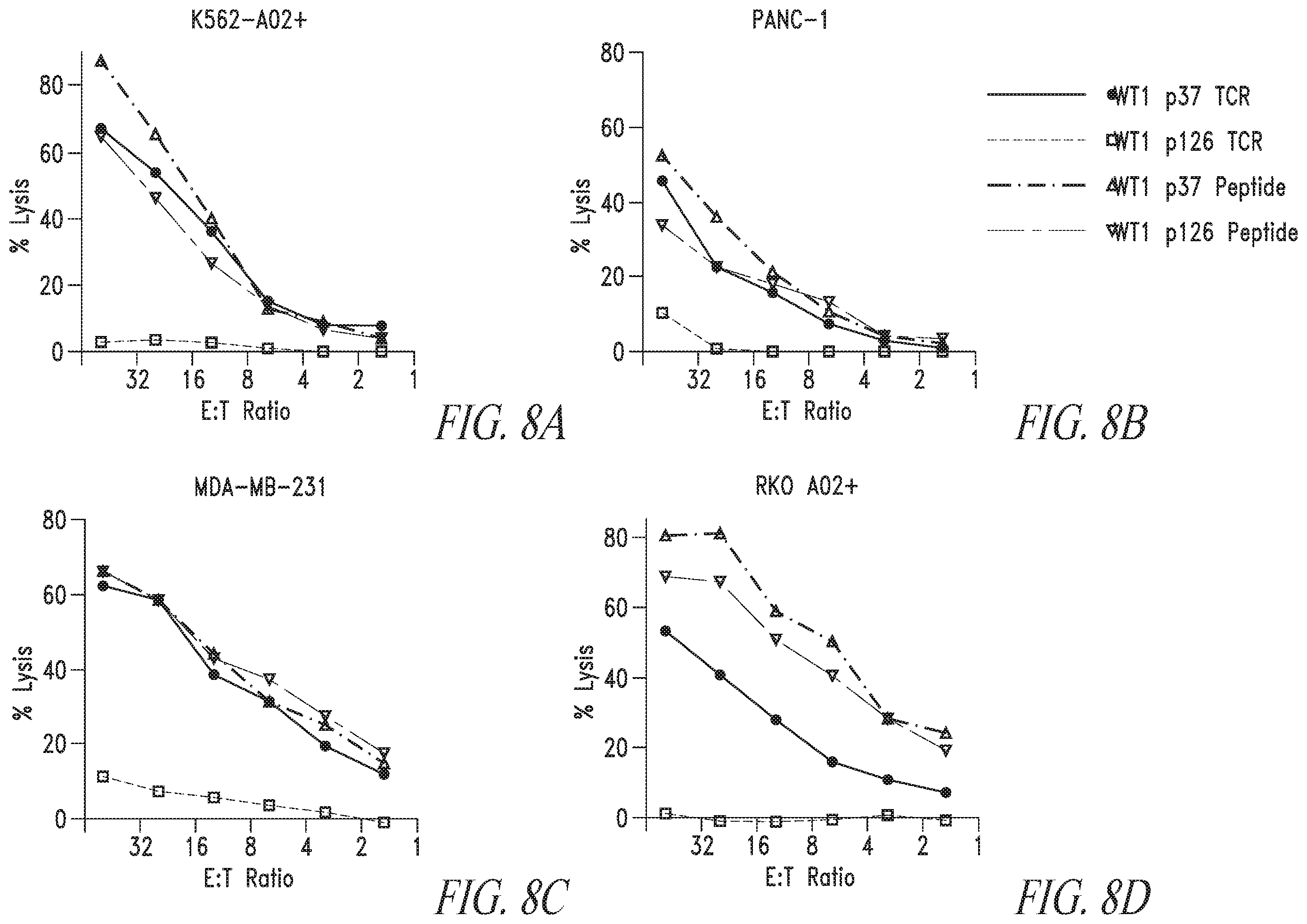 Patent US12448430 Figure 12 – High avidity WT1 T cell receptors and uses thereof
