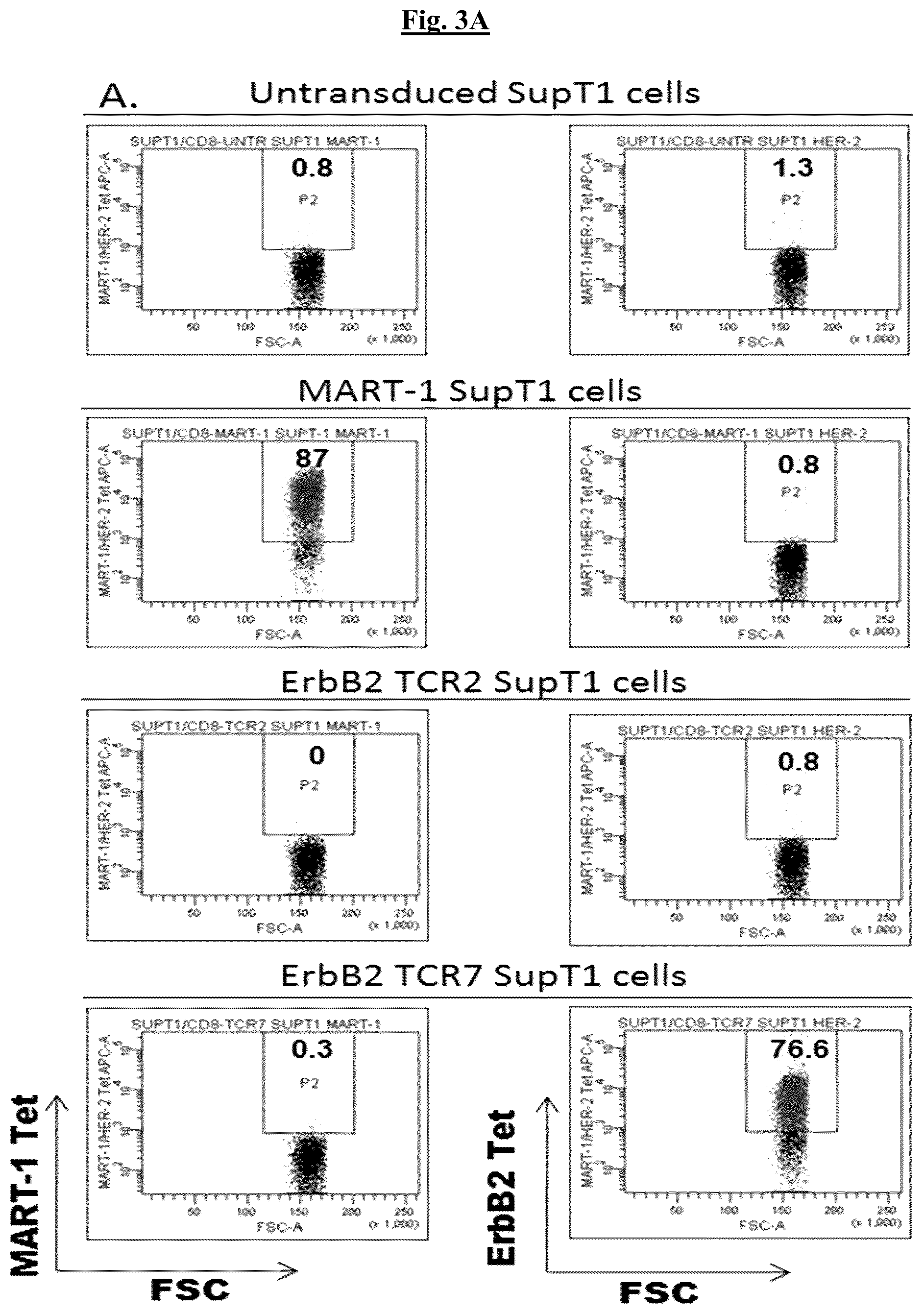Patent US12448431 Figure 3 – Fully-human T-cell receptor specific for the 369-377 epitope derived from the Her2/neu (ERBB2) receptor protein