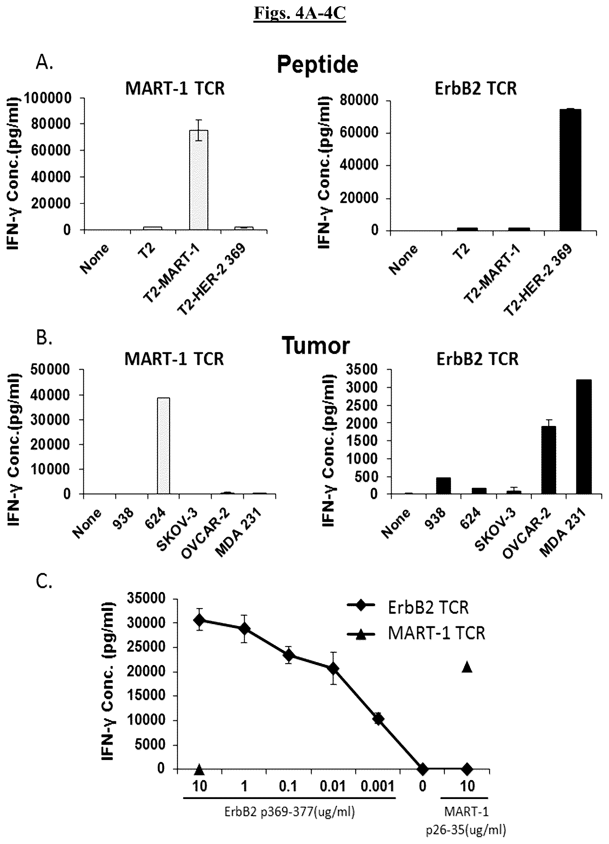 Patent US12448431 Figure 5 – Fully-human T-cell receptor specific for the 369-377 epitope derived from the Her2/neu (ERBB2) receptor protein