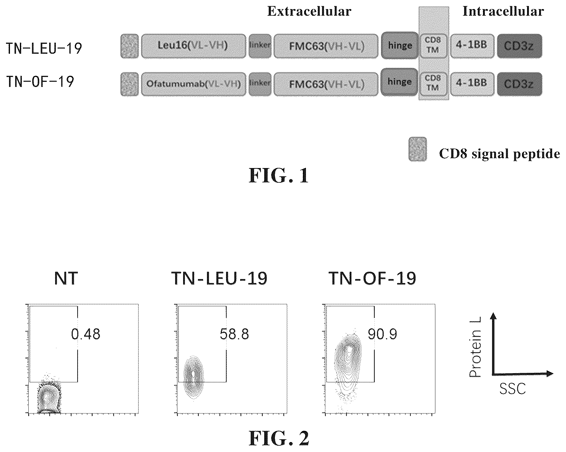 Patent US12448432 Figure 1 – Combined chimeric antigen receptor targeting CD19 and CD20 and application thereof