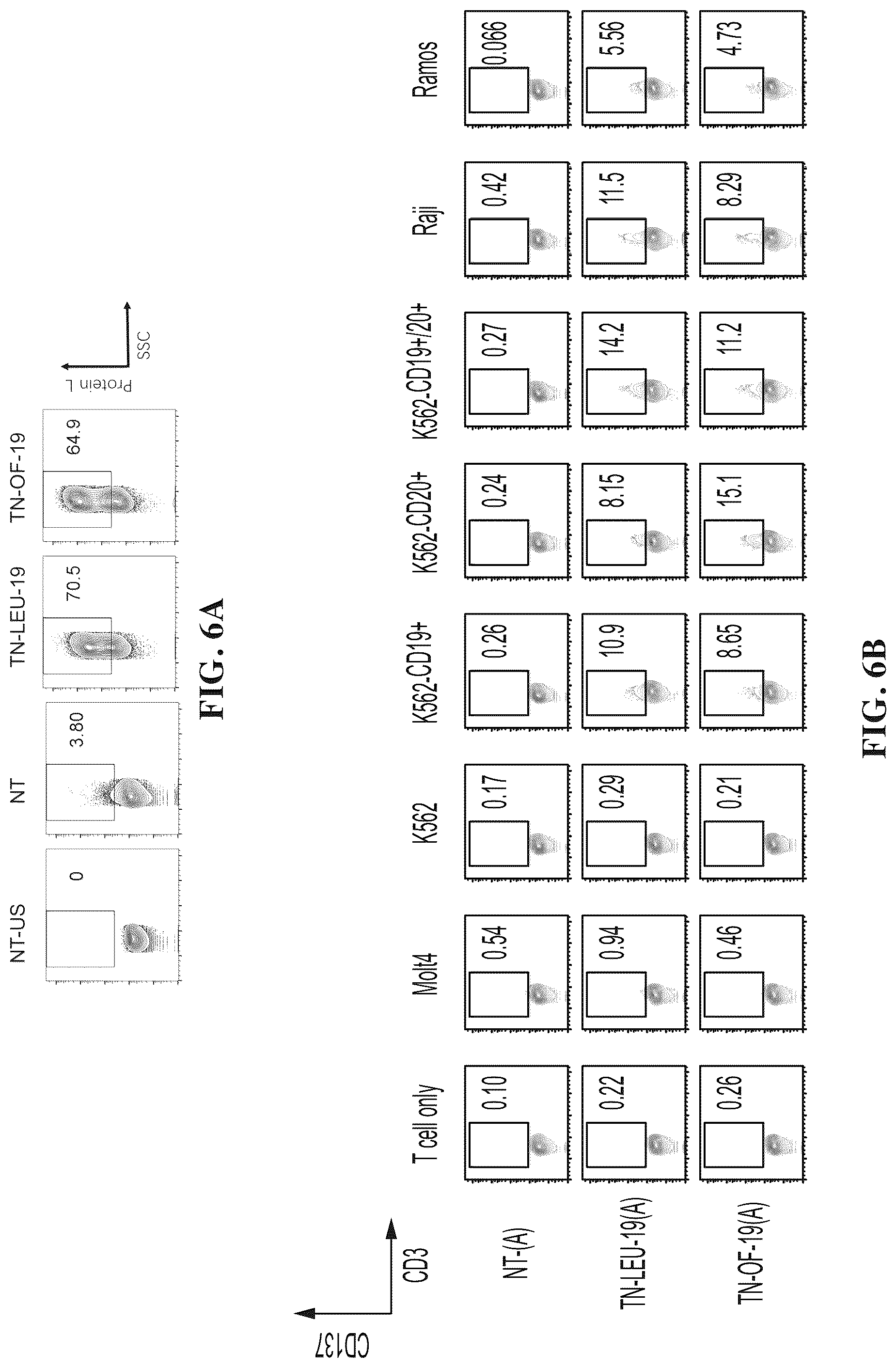 Patent US12448432 Figure 5 – Combined chimeric antigen receptor targeting CD19 and CD20 and application thereof