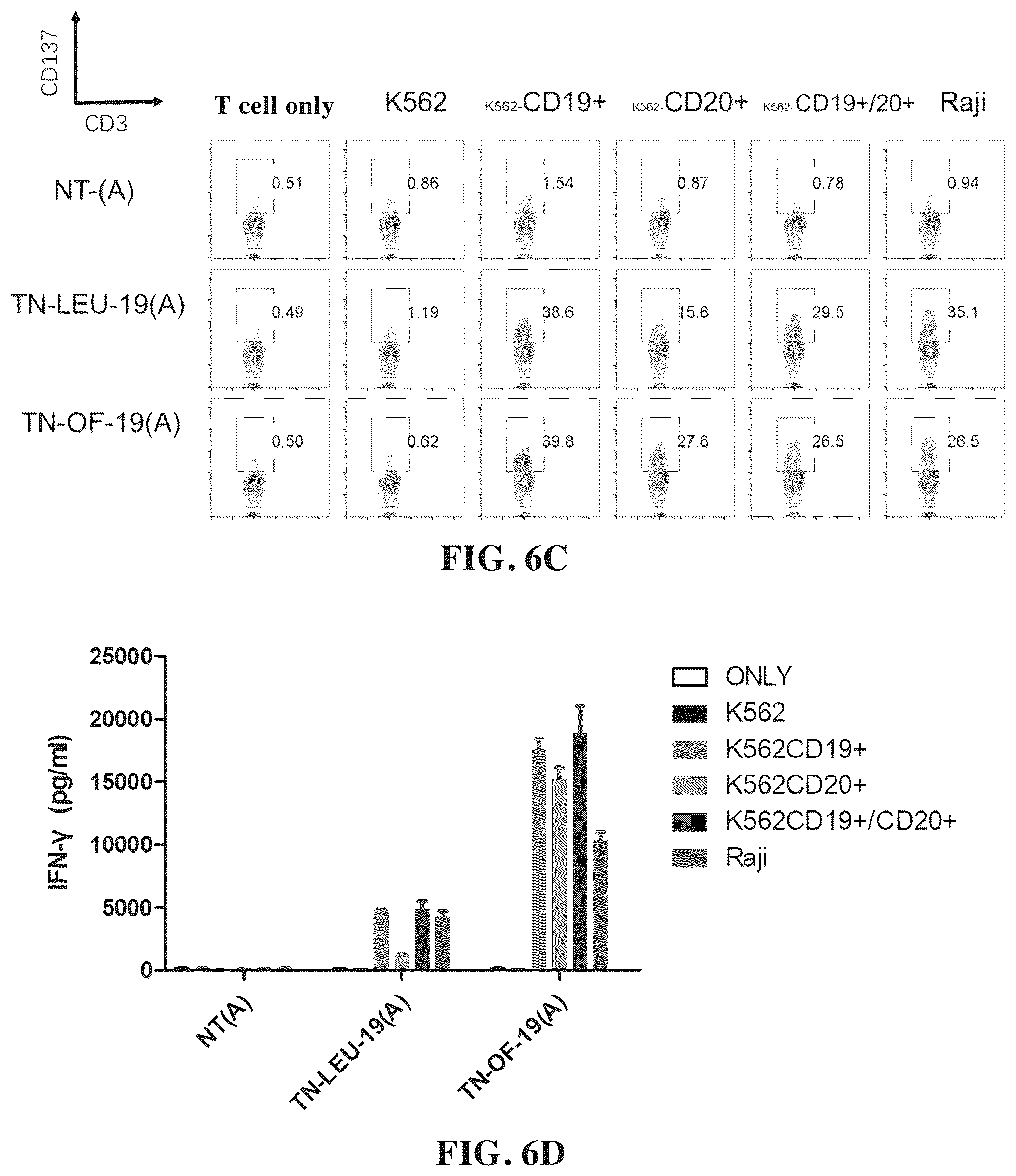 Patent US12448432 Figure 6 – Combined chimeric antigen receptor targeting CD19 and CD20 and application thereof