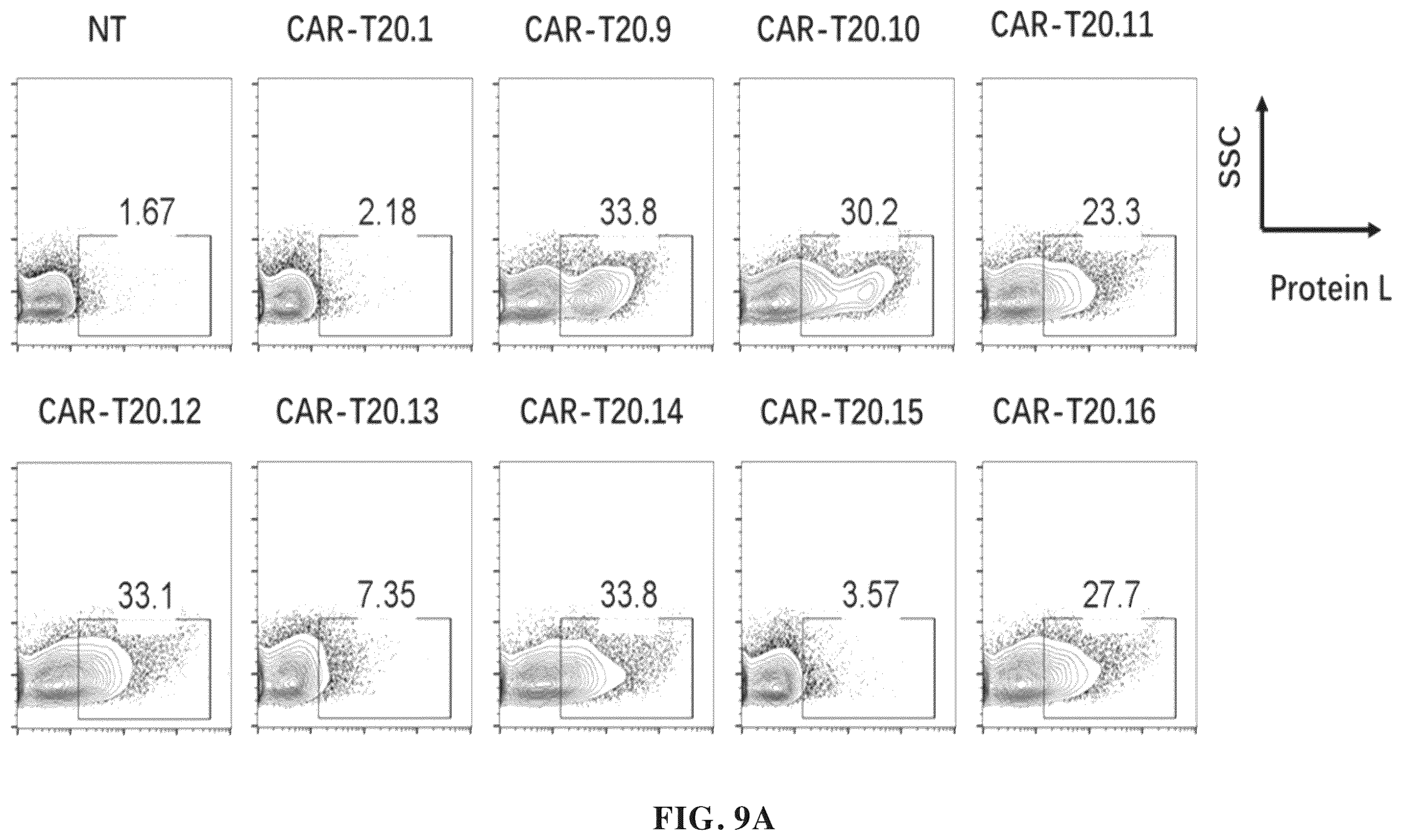 Patent US12448432 Figure 13 – Combined chimeric antigen receptor targeting CD19 and CD20 and application thereof