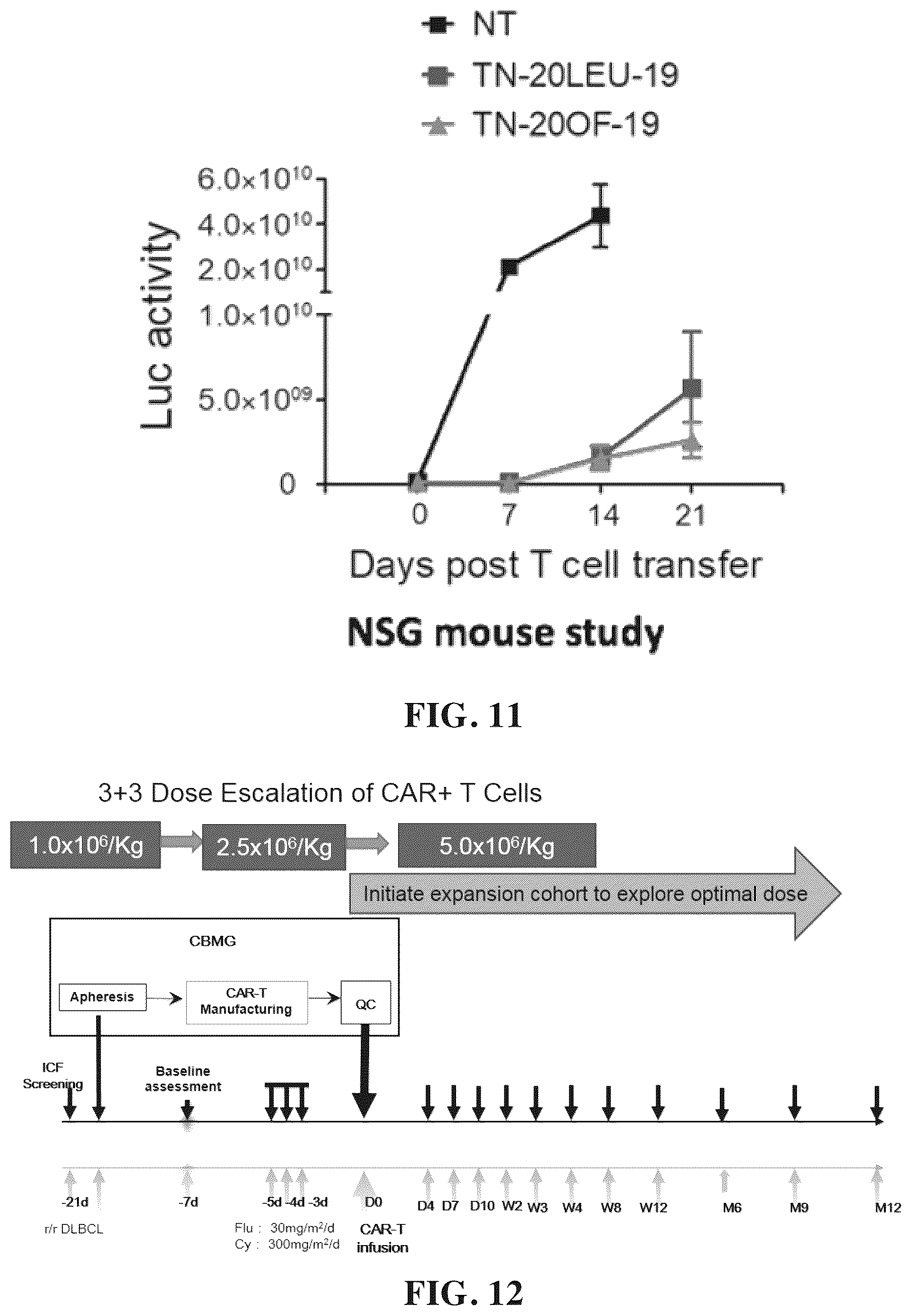 Patent US12448432 Figure 18 – Combined chimeric antigen receptor targeting CD19 and CD20 and application thereof