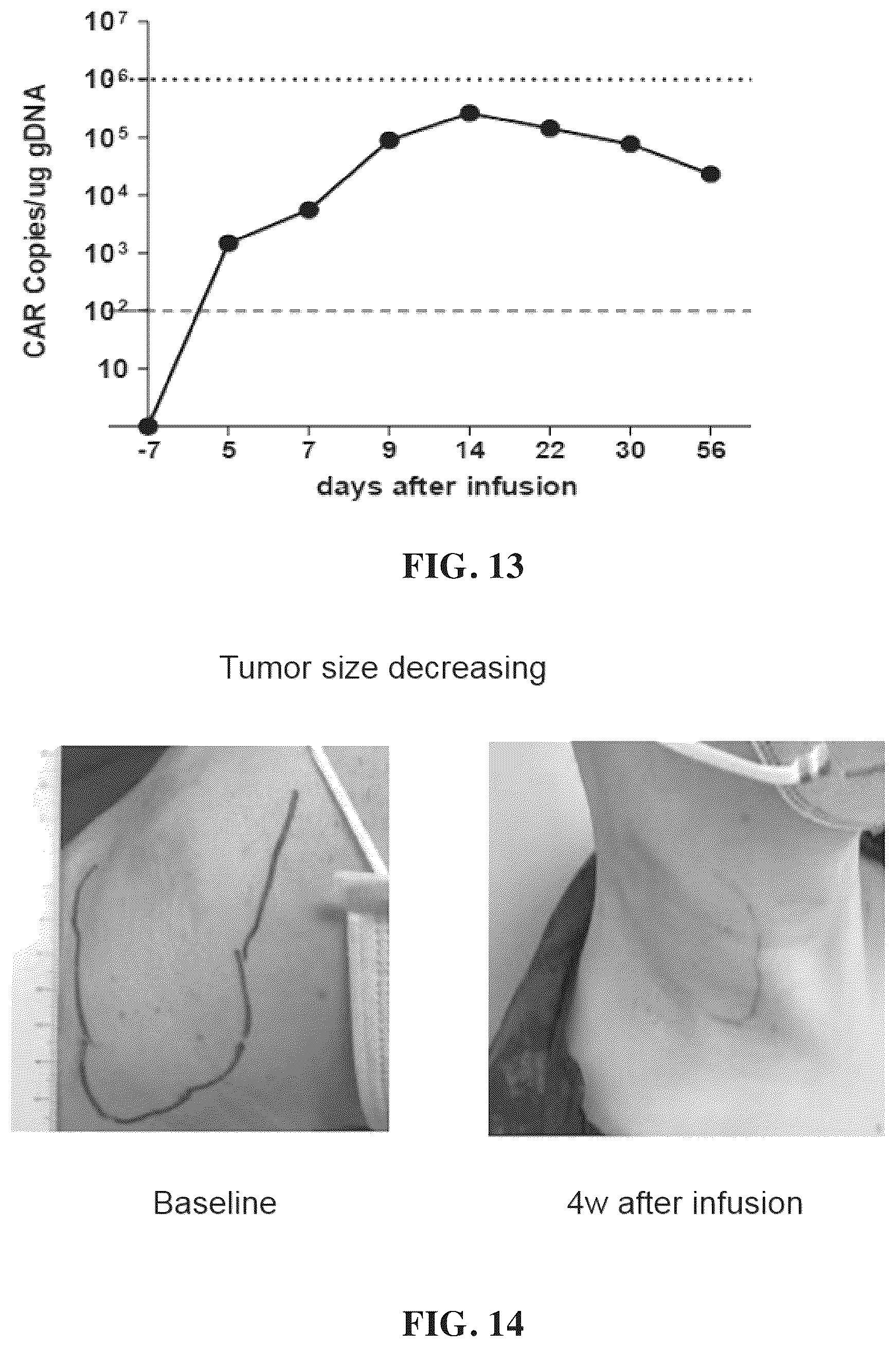 Patent US12448432 Figure 19 – Combined chimeric antigen receptor targeting CD19 and CD20 and application thereof