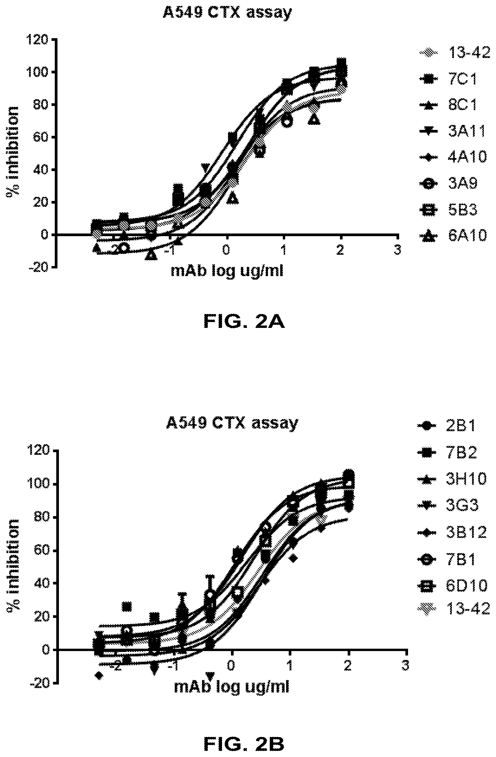 Patent US12448434 Figure 2 – Antibodies specifically recognizing Pseudomonas PcrV and uses thereof