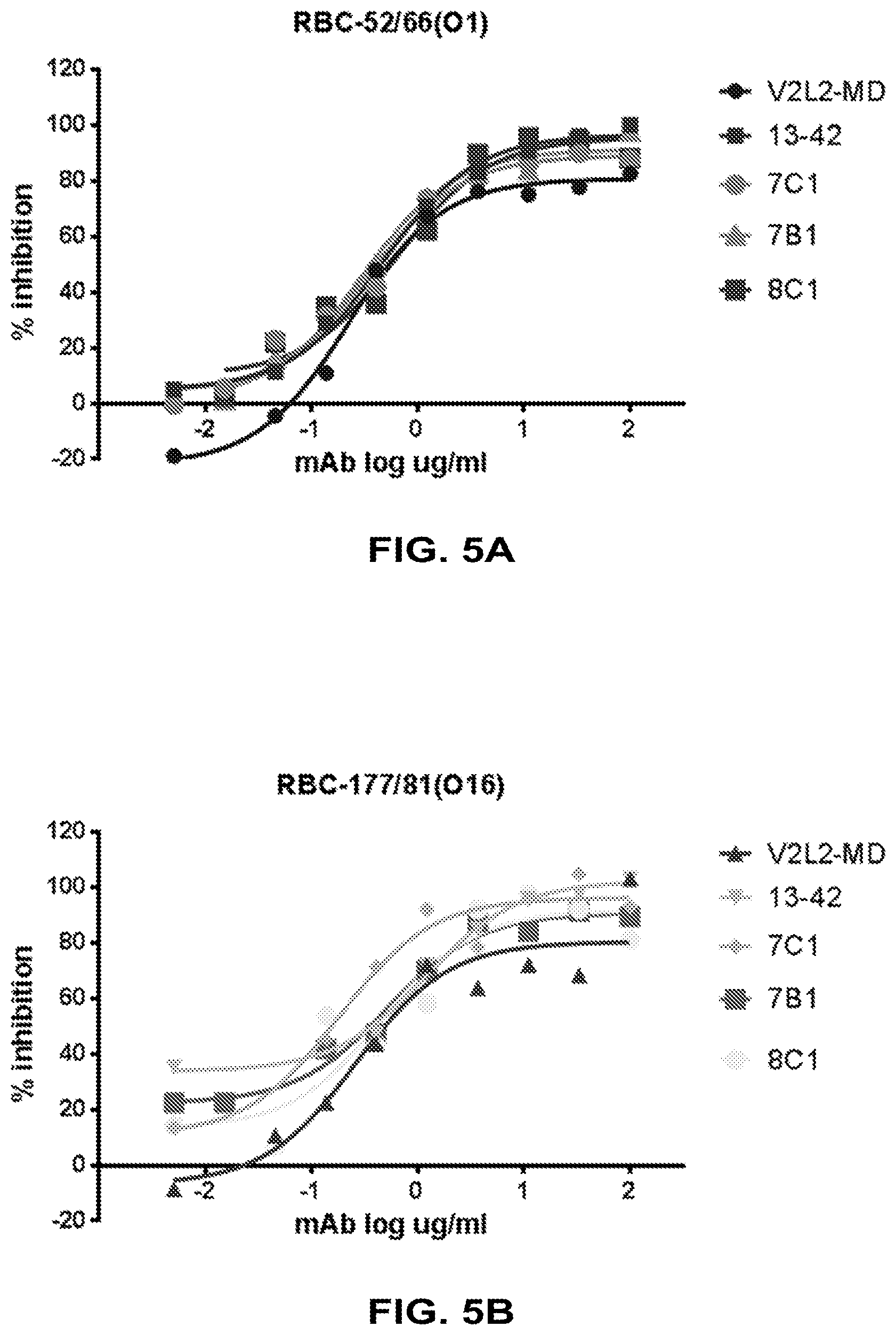 Patent US12448434 Figure 6 – Antibodies specifically recognizing Pseudomonas PcrV and uses thereof