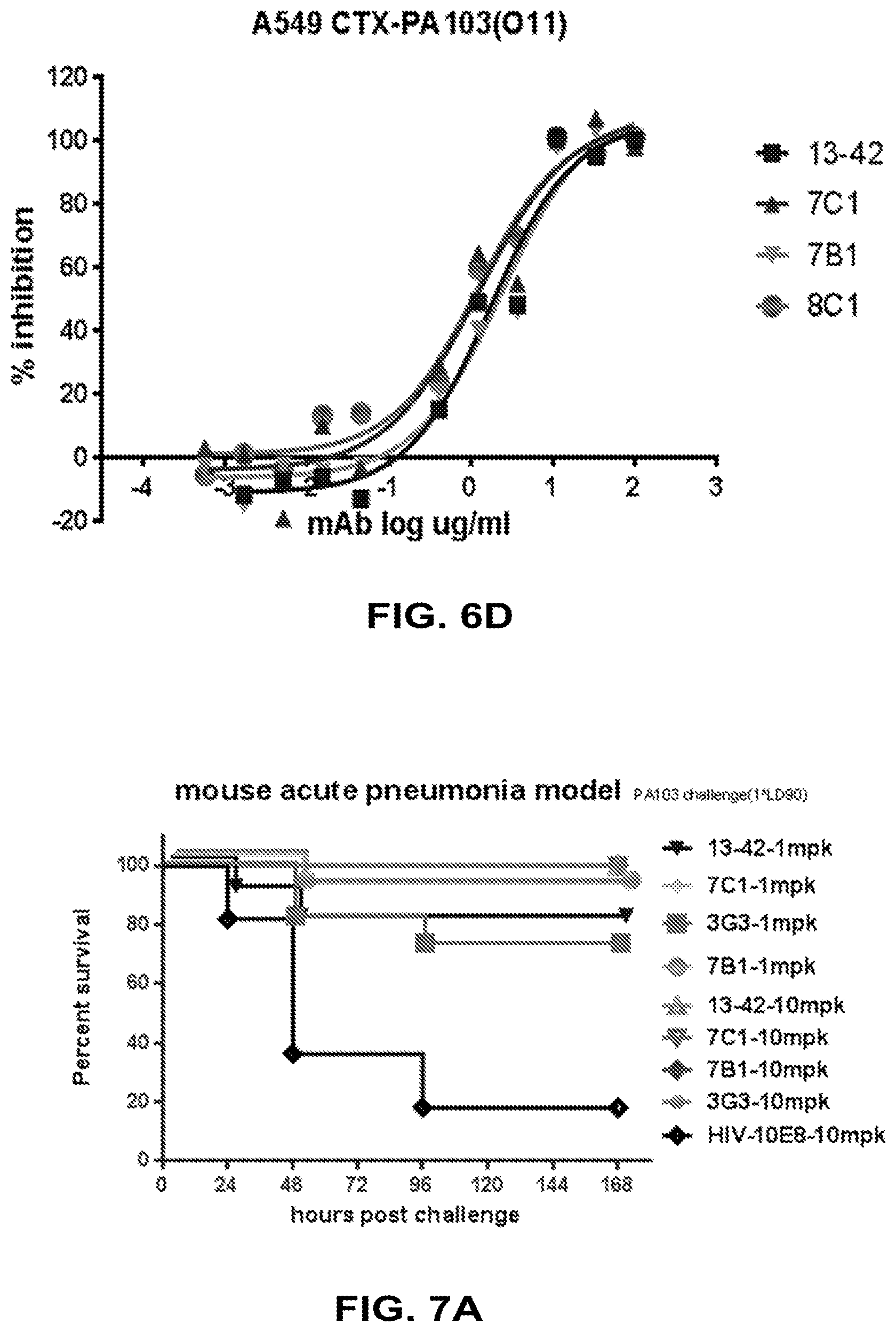 Patent US12448434 Figure 9 – Antibodies specifically recognizing Pseudomonas PcrV and uses thereof