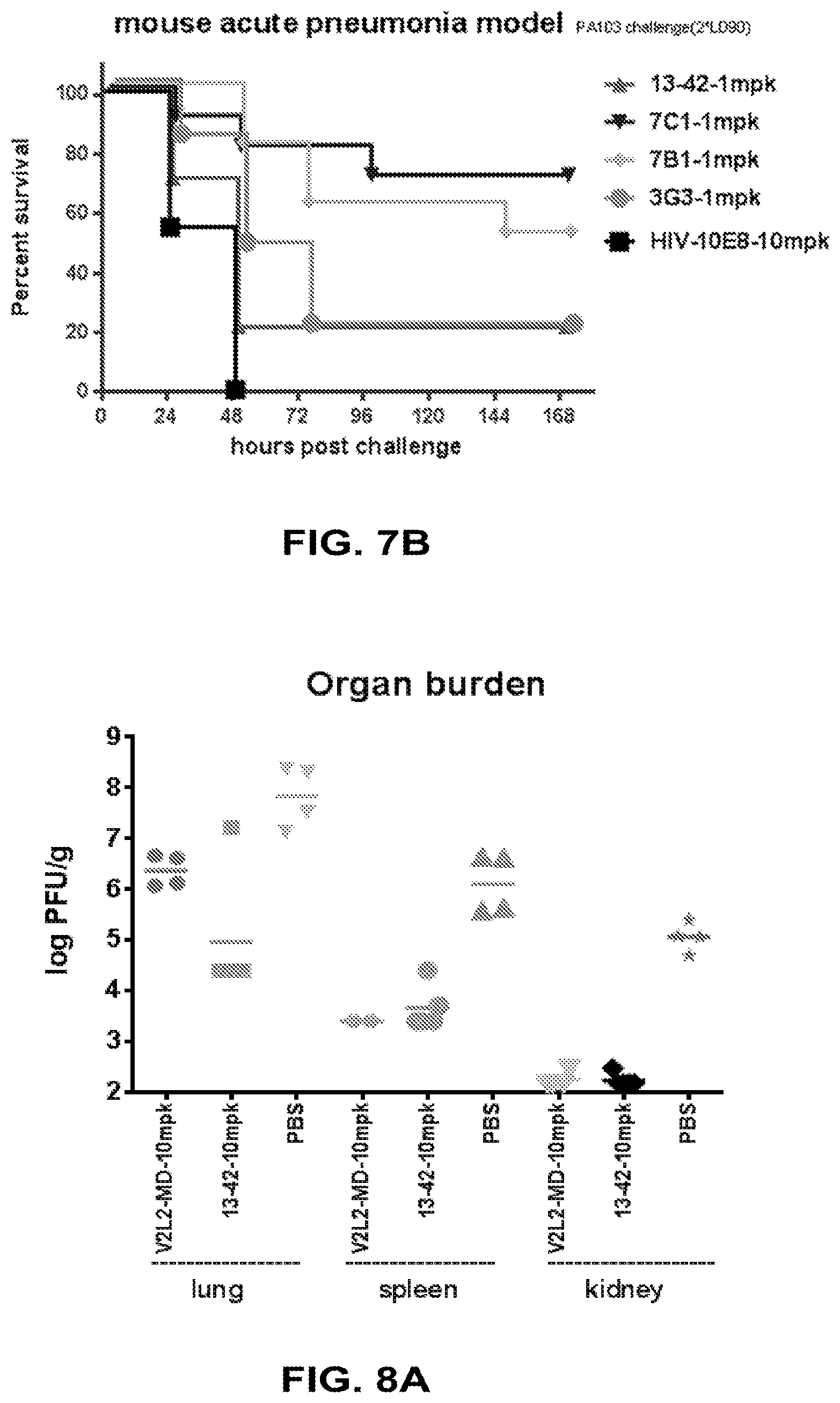 Patent US12448434 Figure 10 – Antibodies specifically recognizing Pseudomonas PcrV and uses thereof
