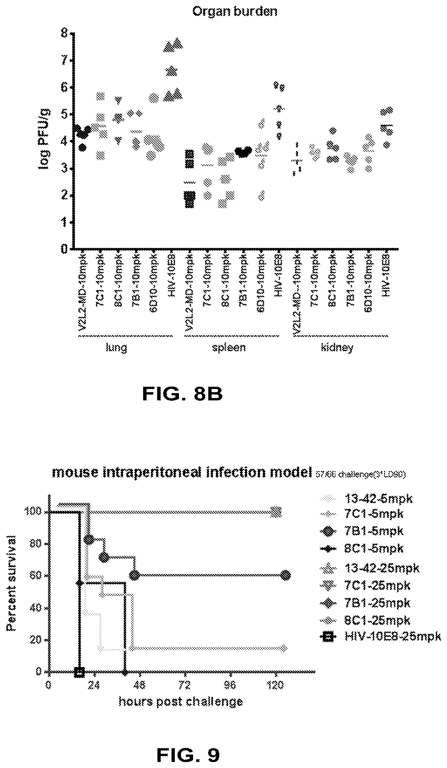 Patent US12448434 Figure 11 – Antibodies specifically recognizing Pseudomonas PcrV and uses thereof