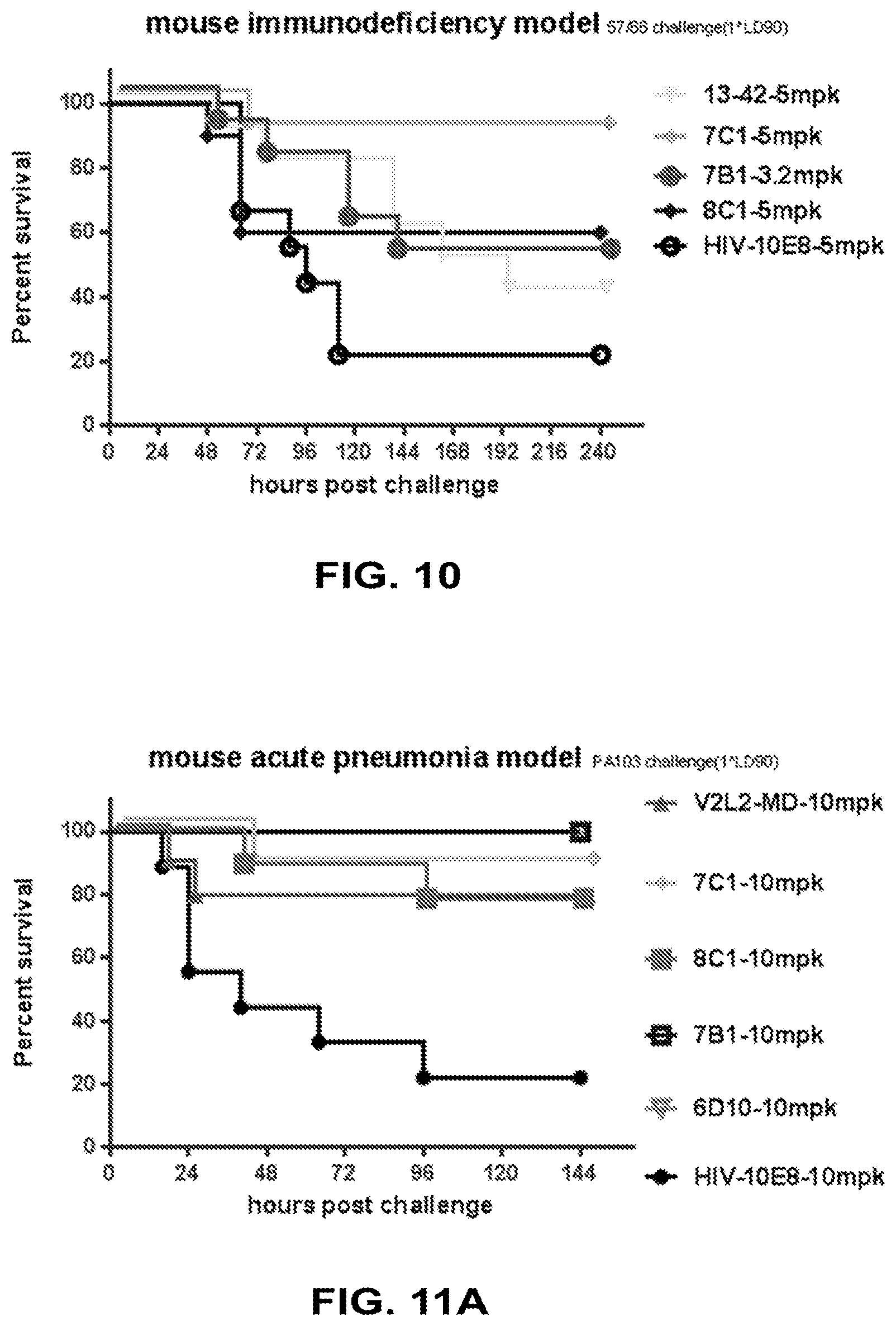 Patent US12448434 Figure 12 – Antibodies specifically recognizing Pseudomonas PcrV and uses thereof