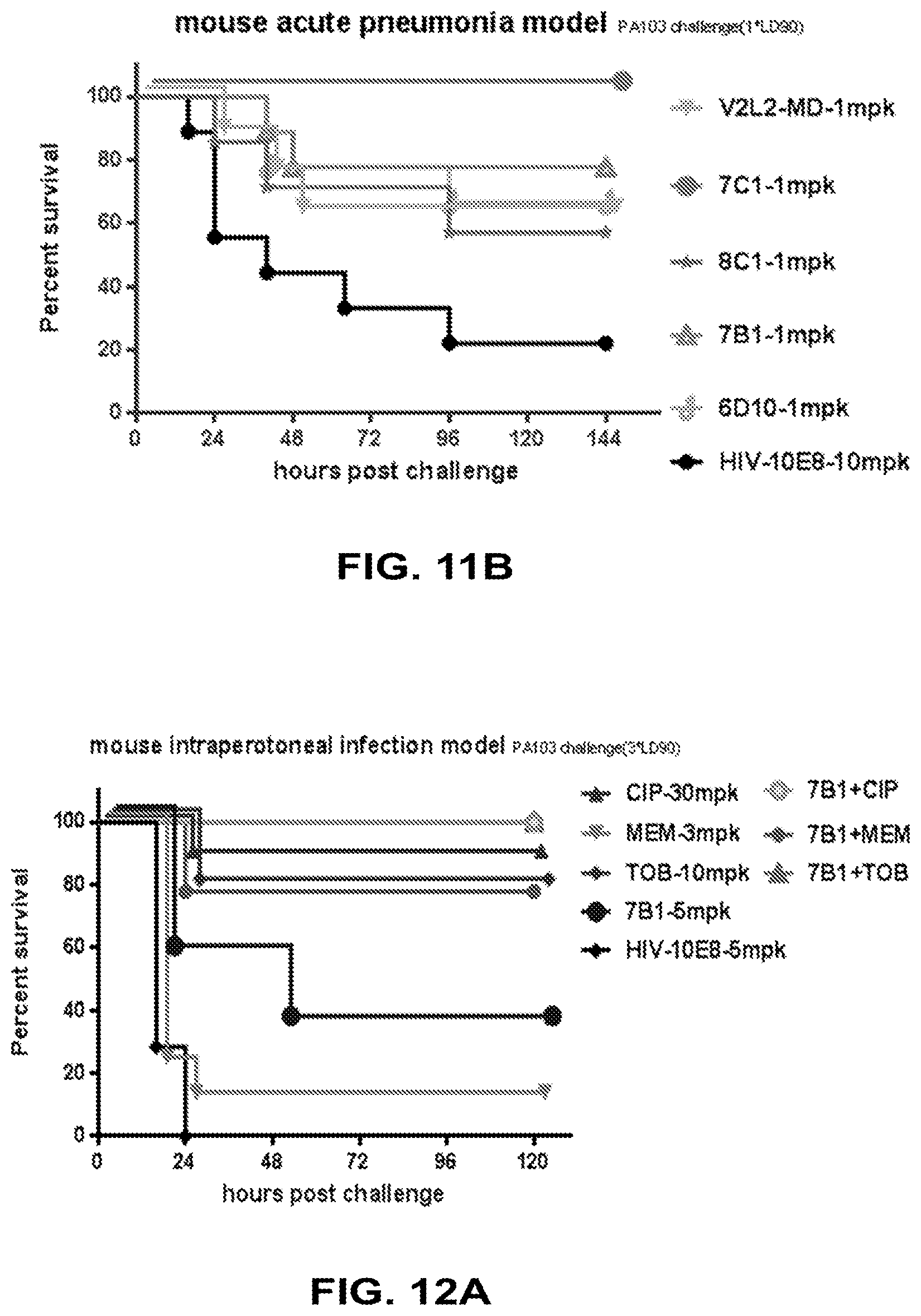Patent US12448434 Figure 13 – Antibodies specifically recognizing Pseudomonas PcrV and uses thereof