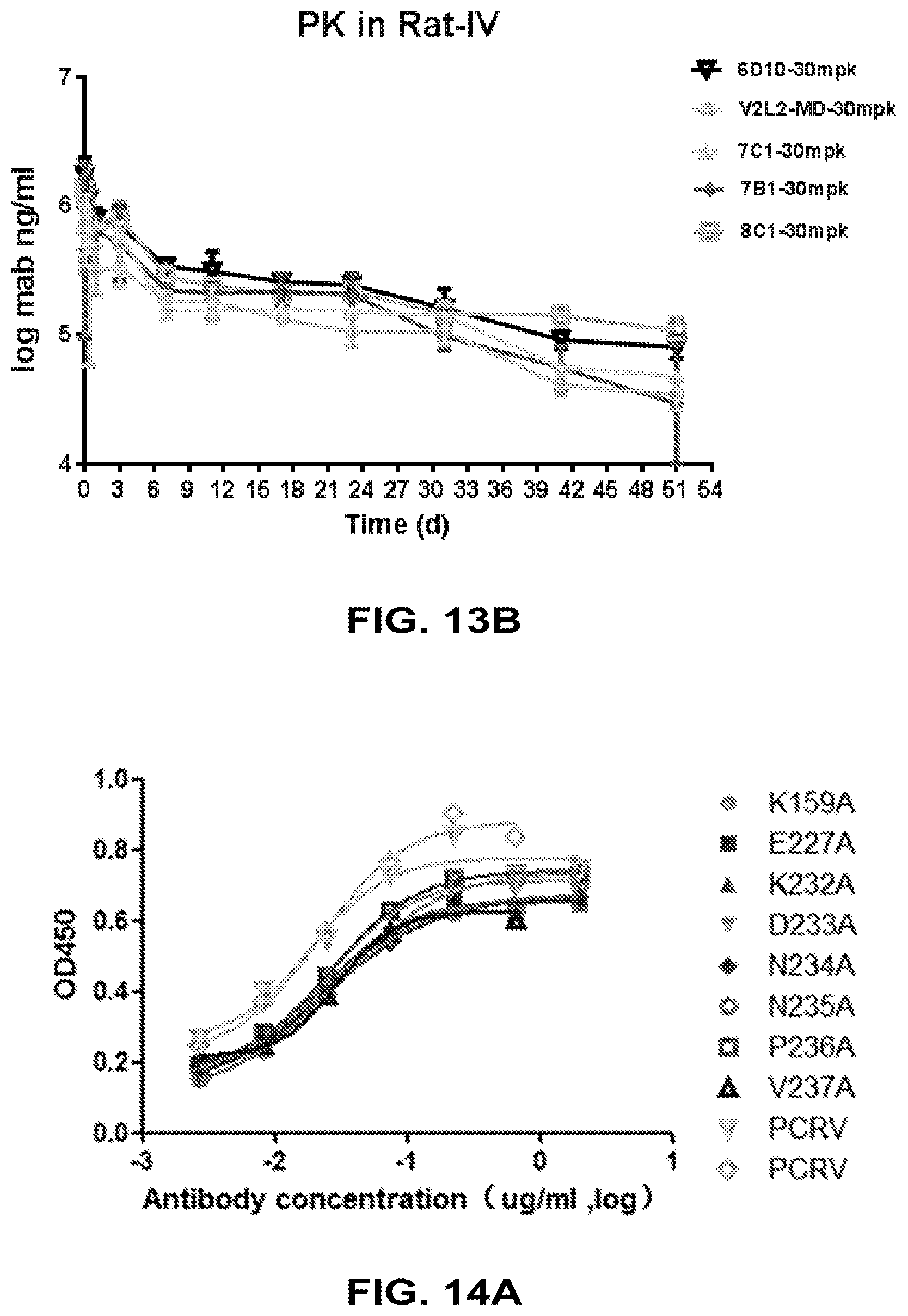 Patent US12448434 Figure 15 – Antibodies specifically recognizing Pseudomonas PcrV and uses thereof