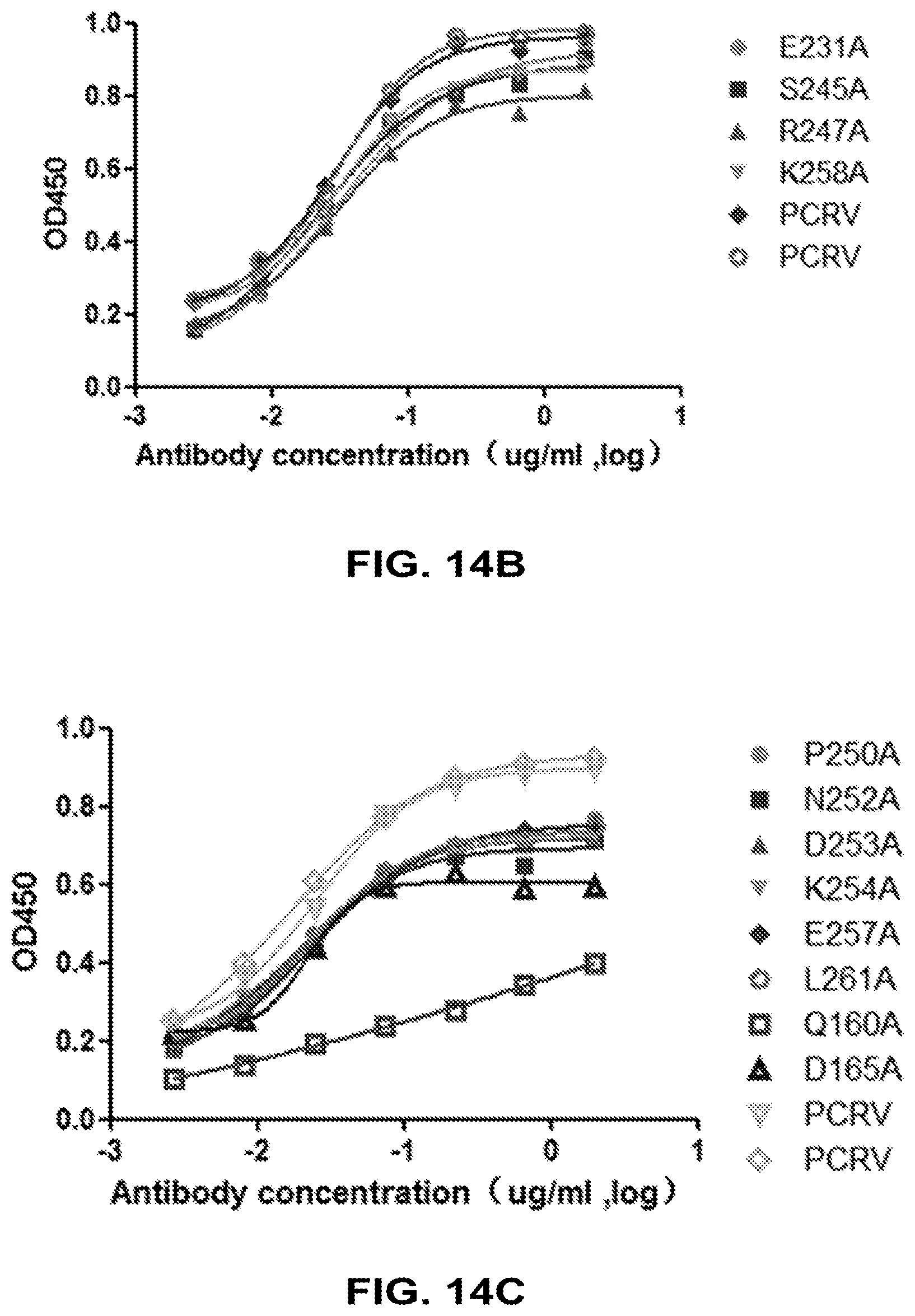 Patent US12448434 Figure 16 – Antibodies specifically recognizing Pseudomonas PcrV and uses thereof
