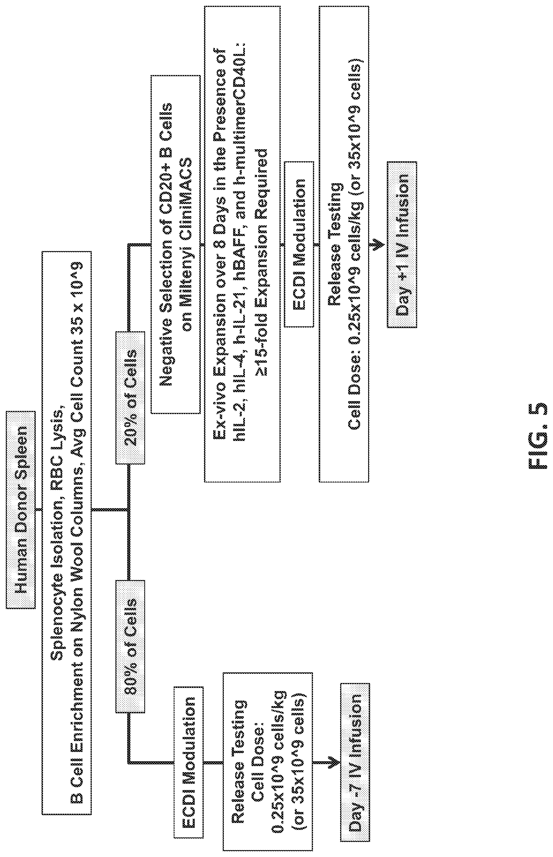 Patent US12448437 Figure 5 – Transplant tolerance induction with carbodiimide treated tolerizing vaccine