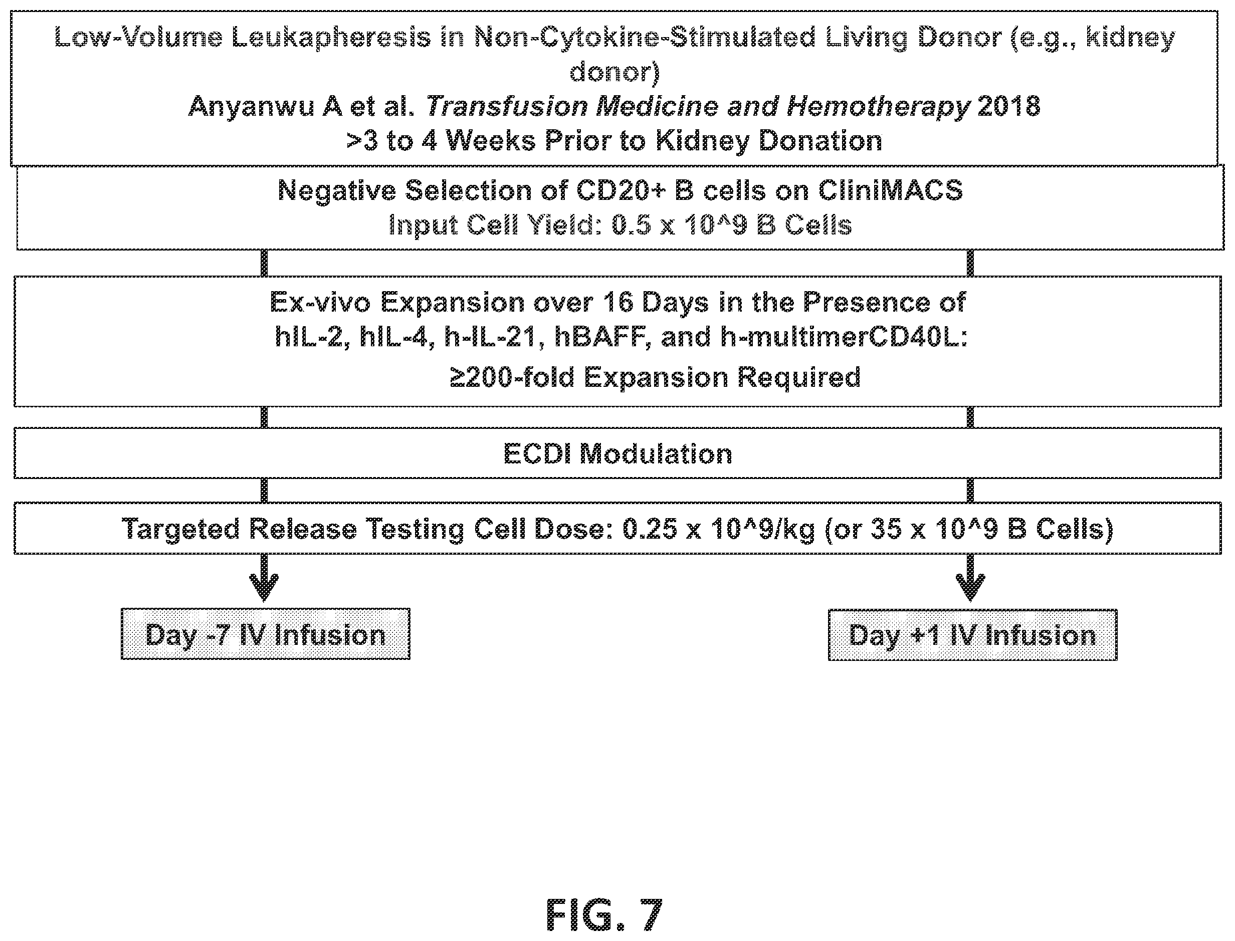Patent US12448437 Figure 7 – Transplant tolerance induction with carbodiimide treated tolerizing vaccine