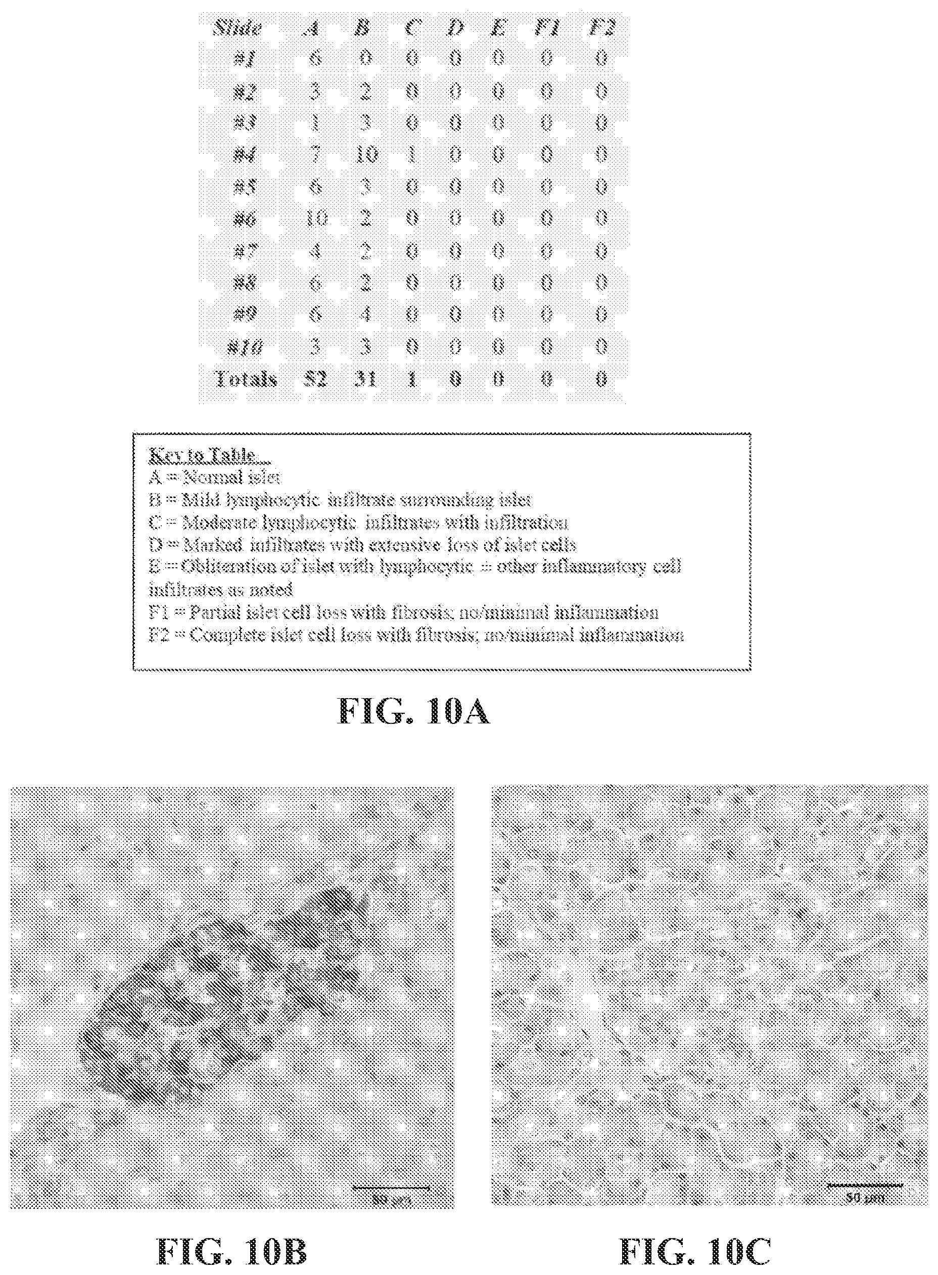 Patent US12448437 Figure 10 – Transplant tolerance induction with carbodiimide treated tolerizing vaccine