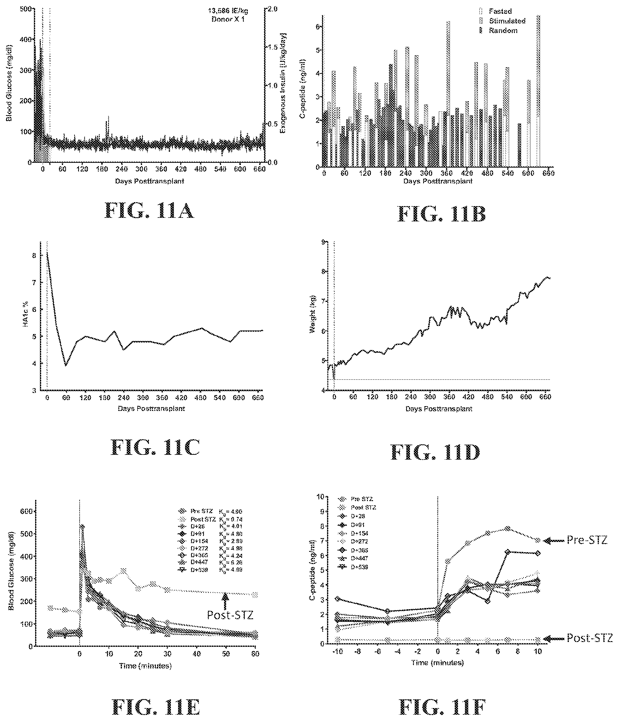 Patent US12448437 Figure 11 – Transplant tolerance induction with carbodiimide treated tolerizing vaccine