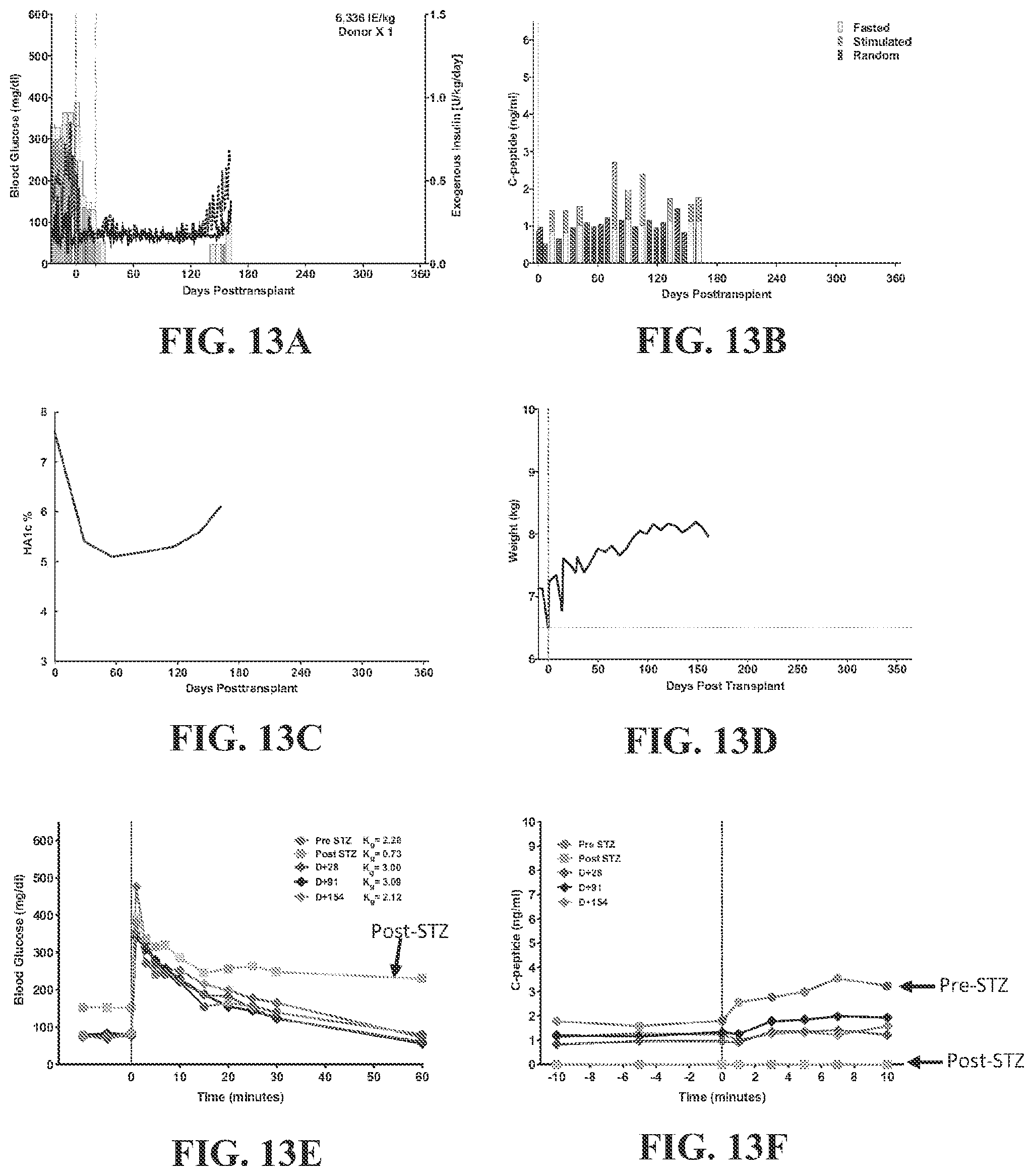 Patent US12448437 Figure 13 – Transplant tolerance induction with carbodiimide treated tolerizing vaccine