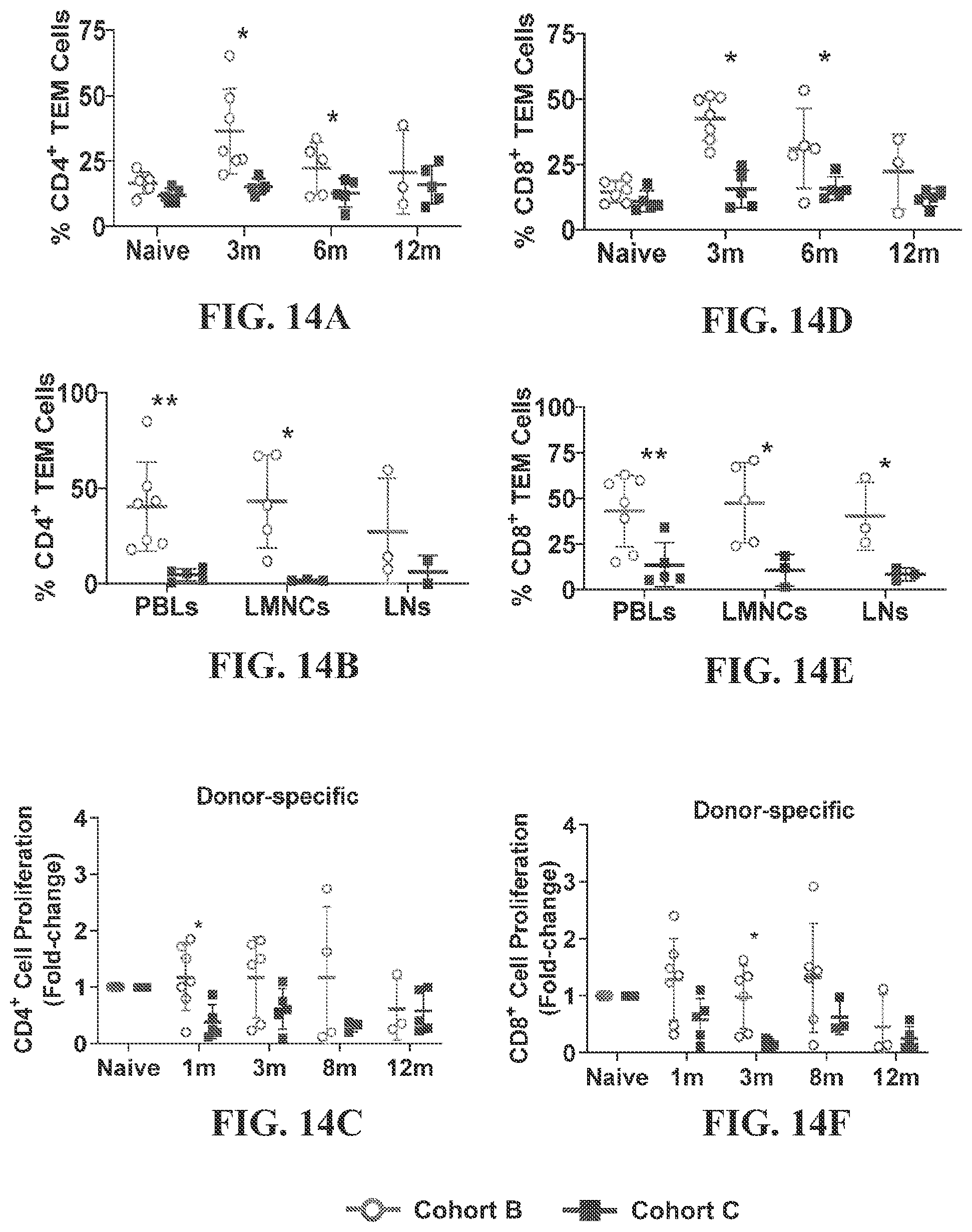 Patent US12448437 Figure 14 – Transplant tolerance induction with carbodiimide treated tolerizing vaccine