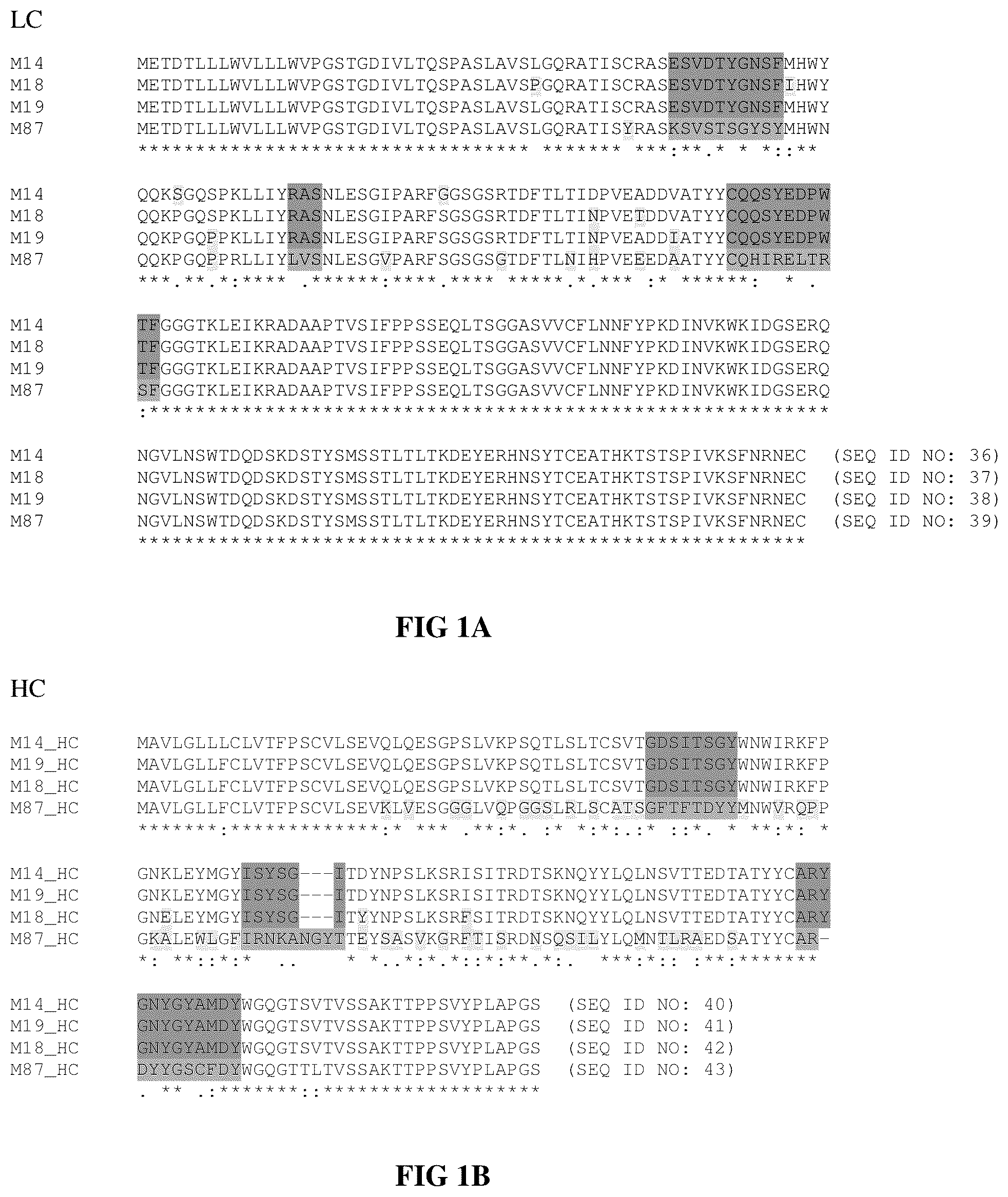 Patent US12448438 — Anti-IL31 antibodies for veterinary use — Figure 1