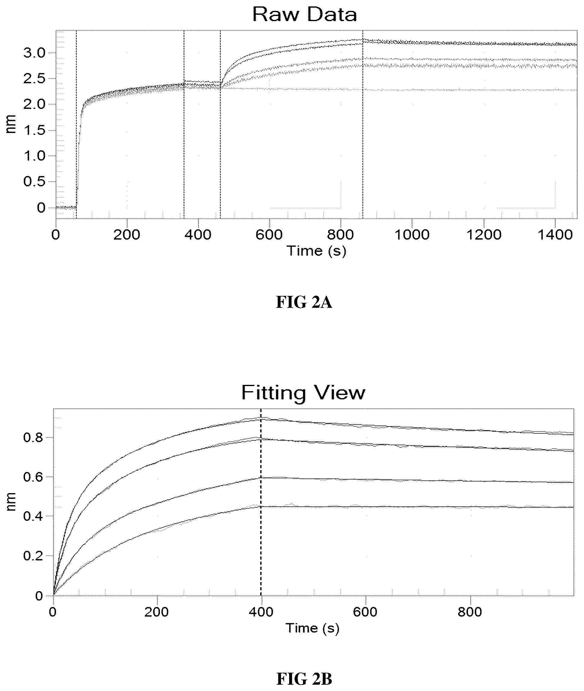Patent US12448438 Figure 2 – Anti-IL31 antibodies for veterinary use
