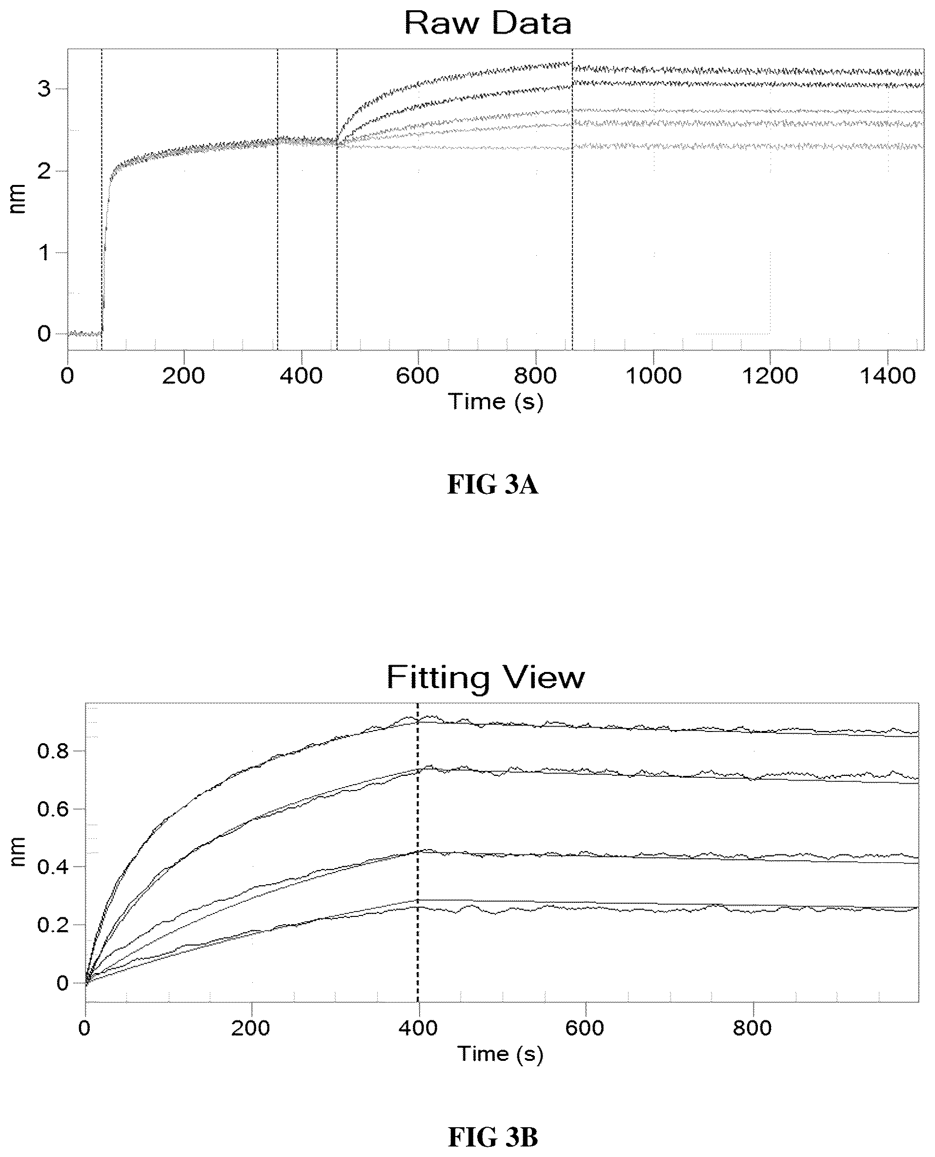 Patent US12448438 Figure 3 – Anti-IL31 antibodies for veterinary use