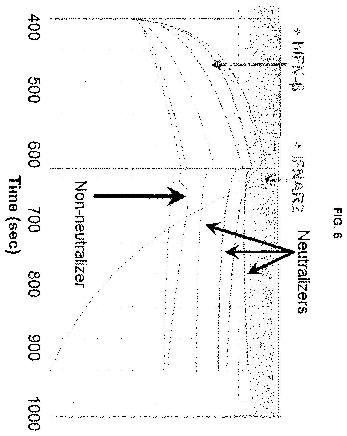 Patent US12448439 Figure 12 – Interferon beta antibodies and uses thereof
