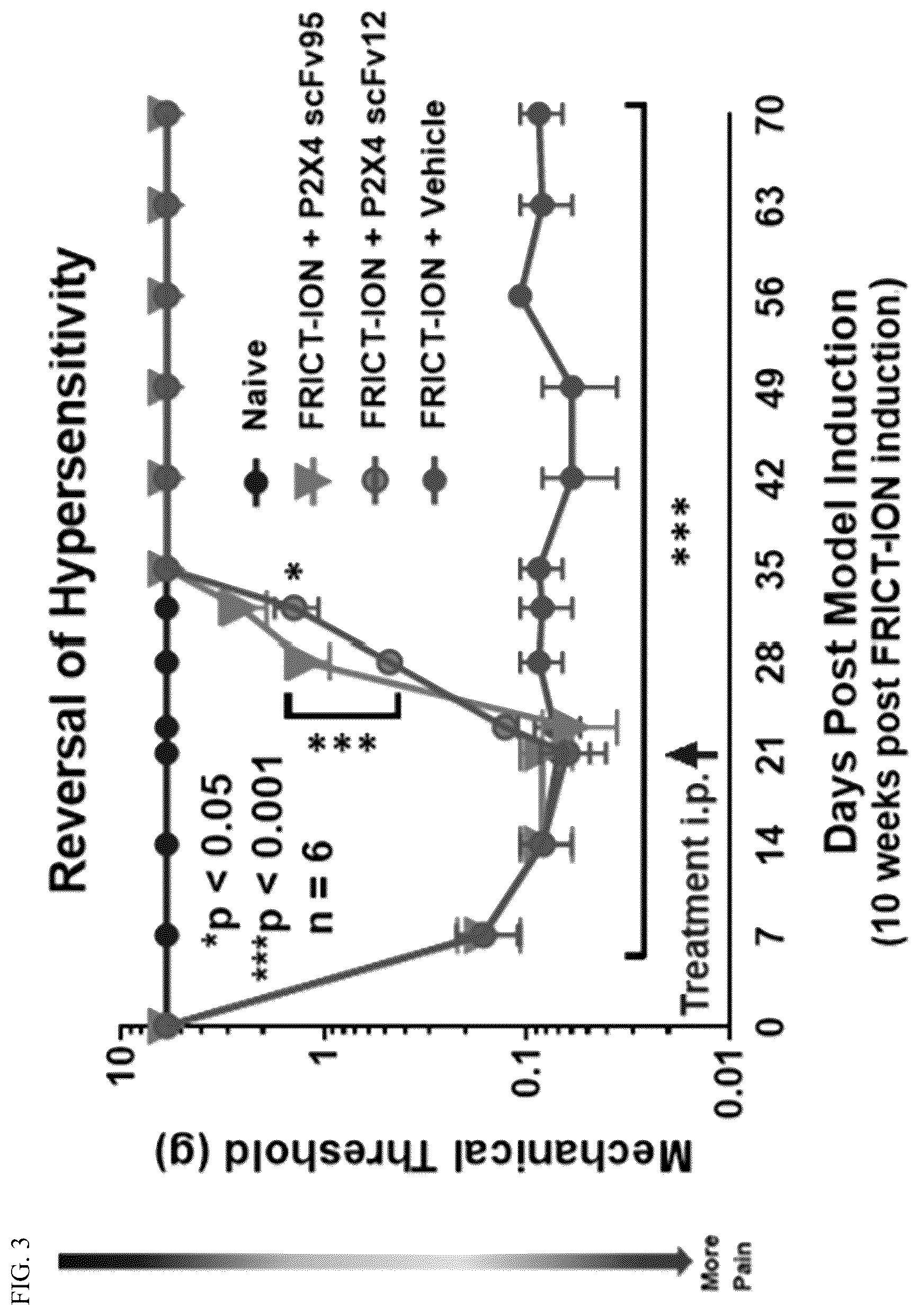 Patent US12448440 Figure 3 – Compositions comprising antibodies or antibody fragments which bind the P2X4 receptor
