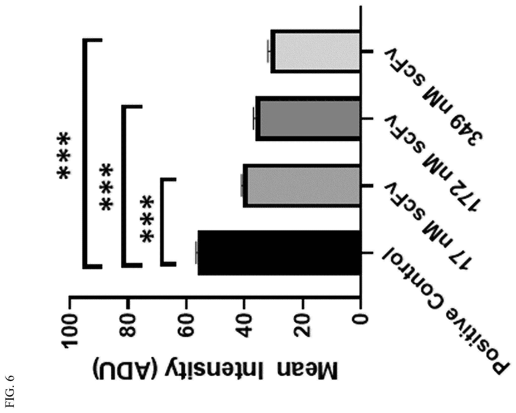 Patent US12448440 Figure 6 – Compositions comprising antibodies or antibody fragments which bind the P2X4 receptor