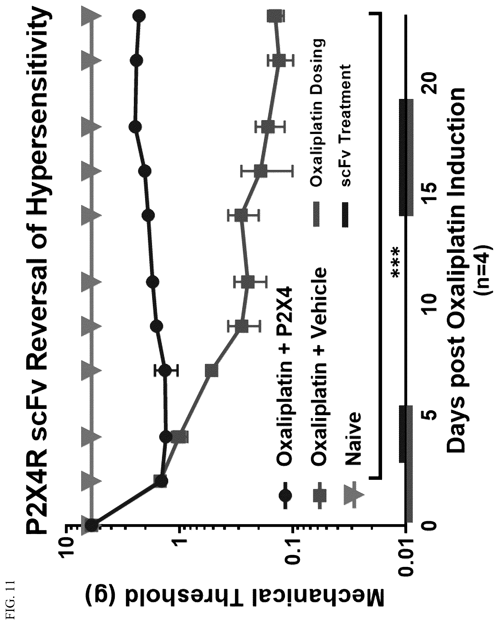 Patent US12448440 Figure 10 – Compositions comprising antibodies or antibody fragments which bind the P2X4 receptor