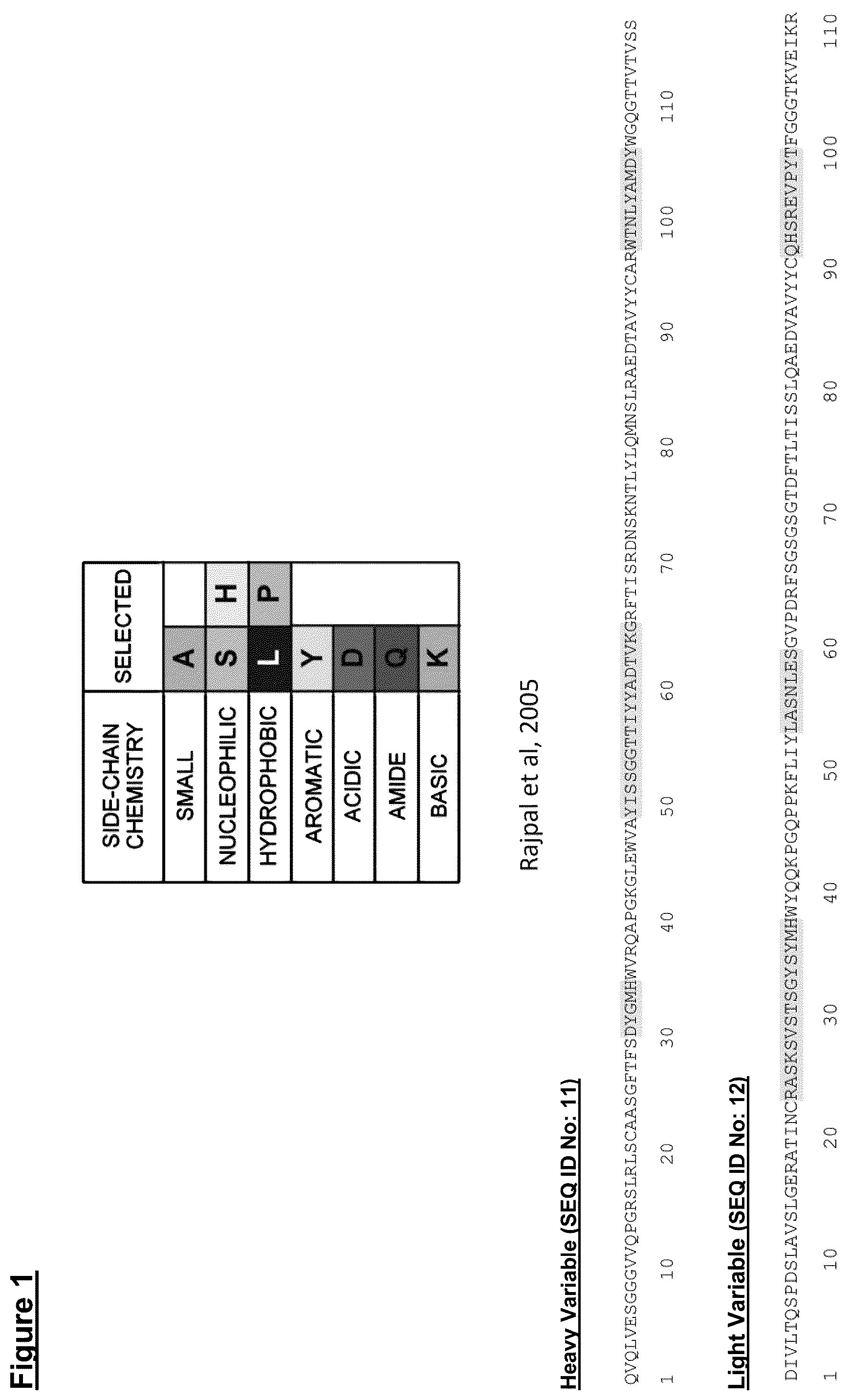 Patent US12448441 Figure 1 – ZIP12 antibody