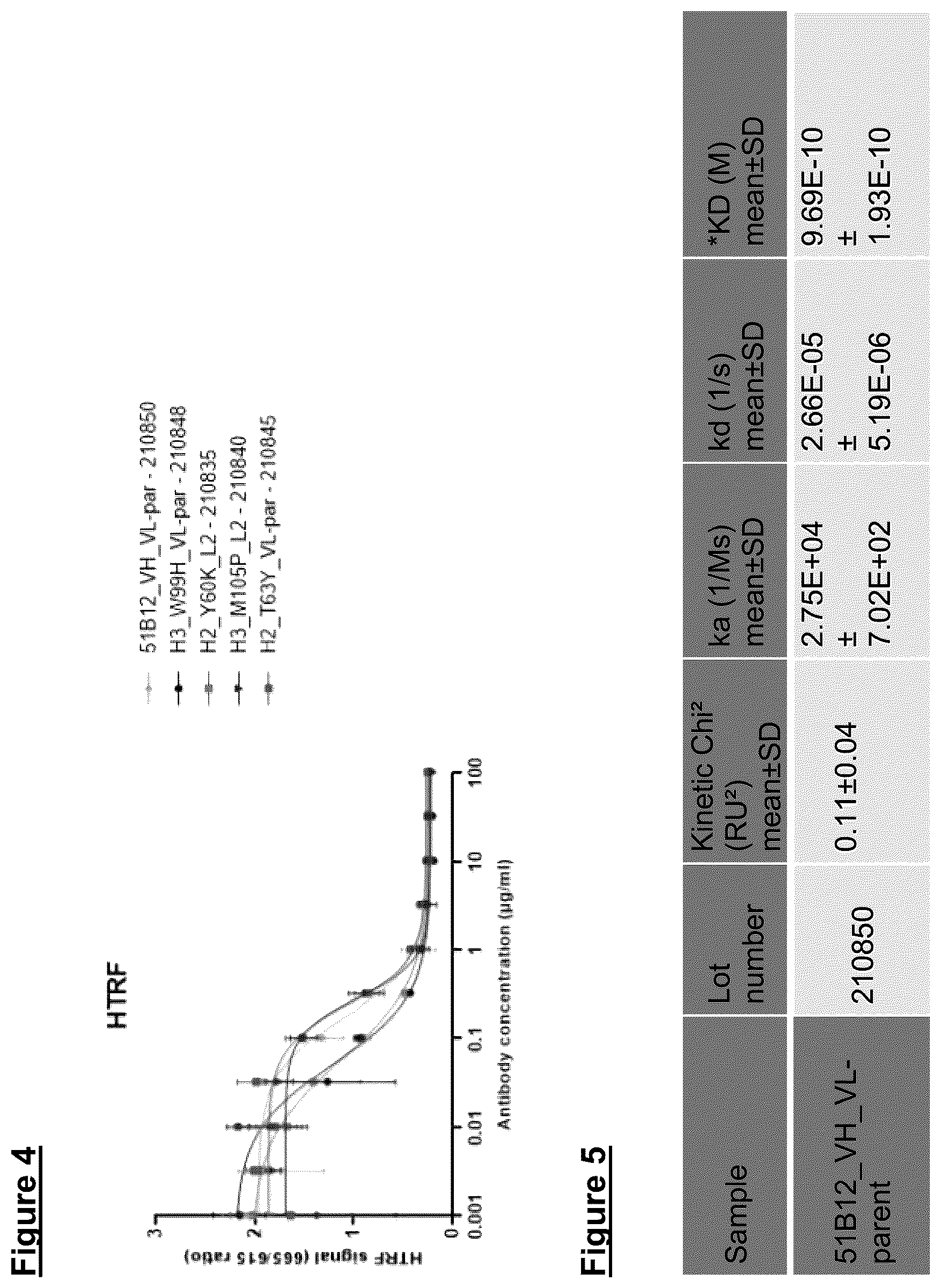 Patent US12448441 Figure 4 – ZIP12 antibody