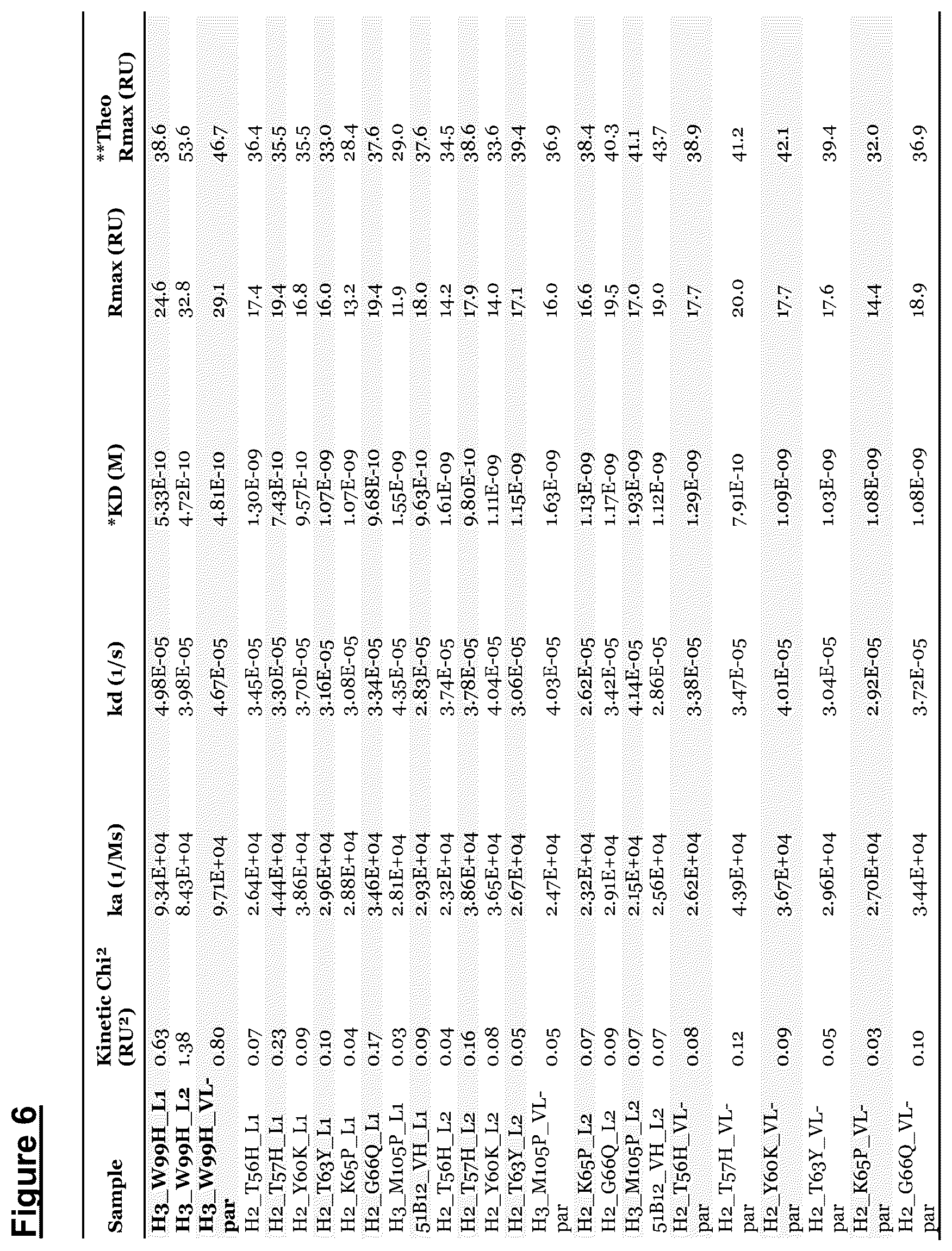 Patent US12448441 Figure 5 – ZIP12 antibody