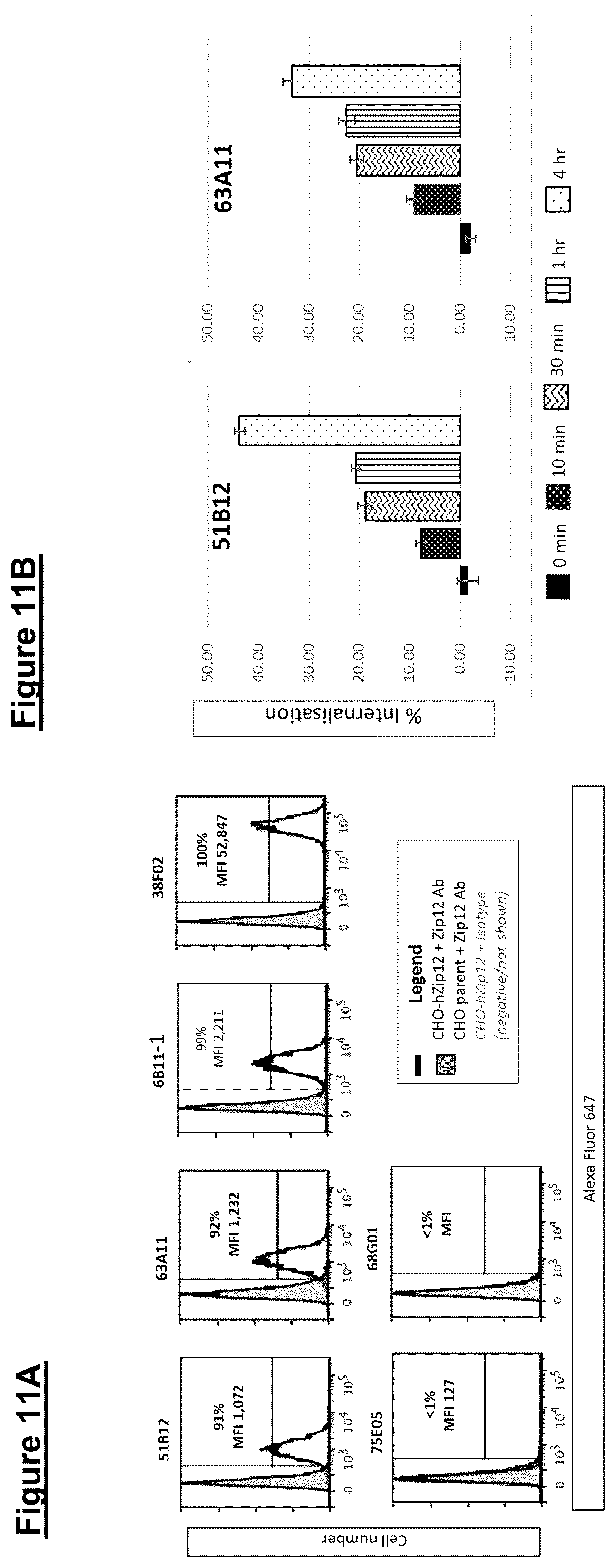 Patent US12448441 Figure 17 – ZIP12 antibody