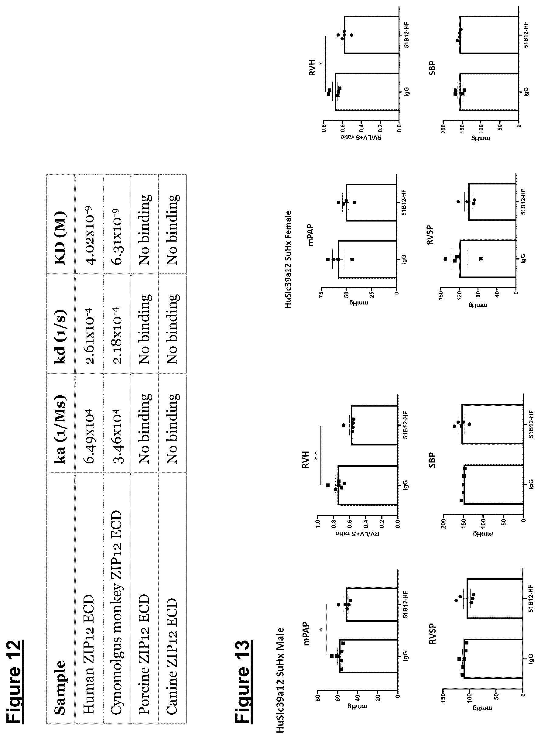 Patent US12448441 Figure 18 – ZIP12 antibody