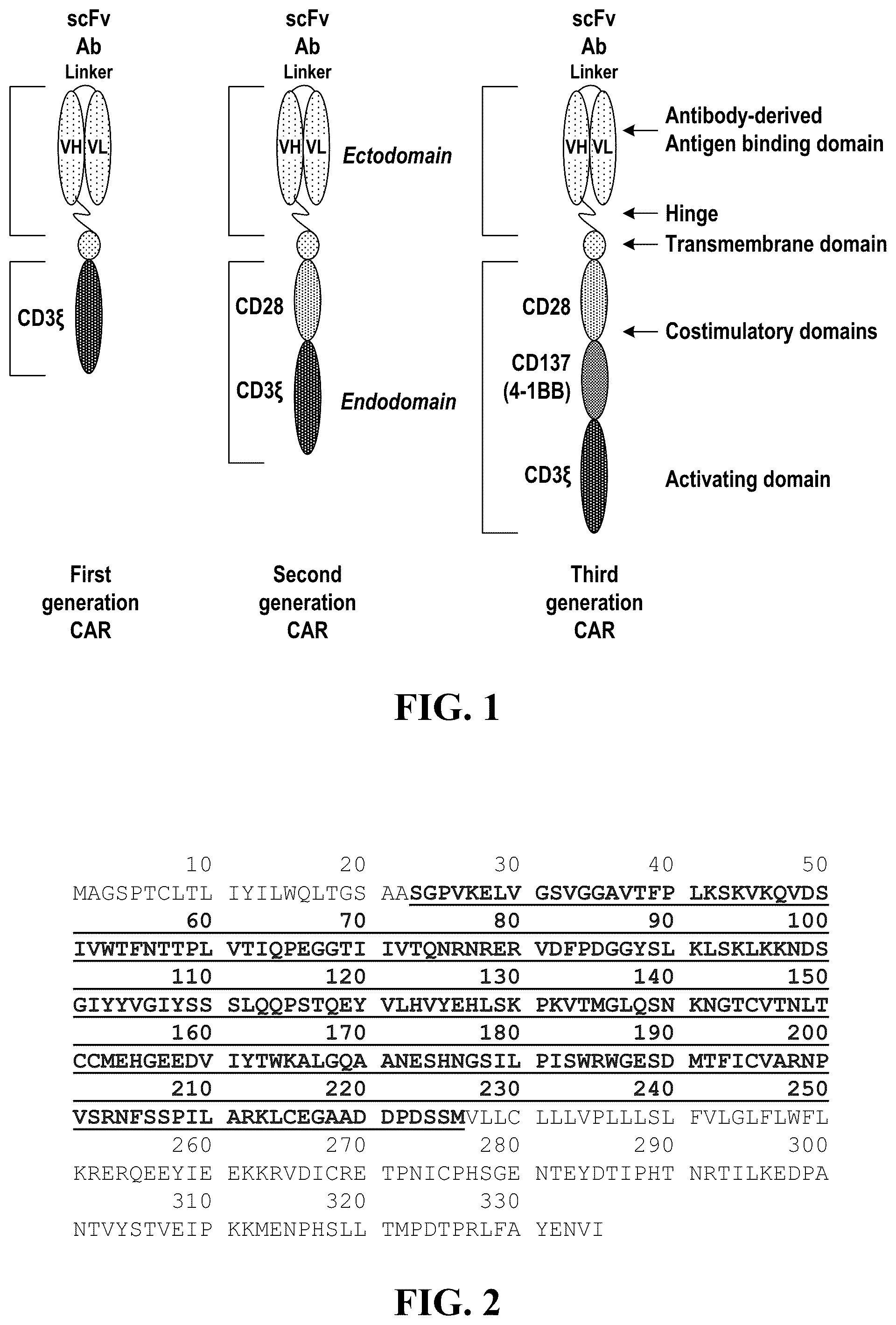 Patent US12448443 Figure 1 – CS1 antibody and anti-CS1-CAR-t cells