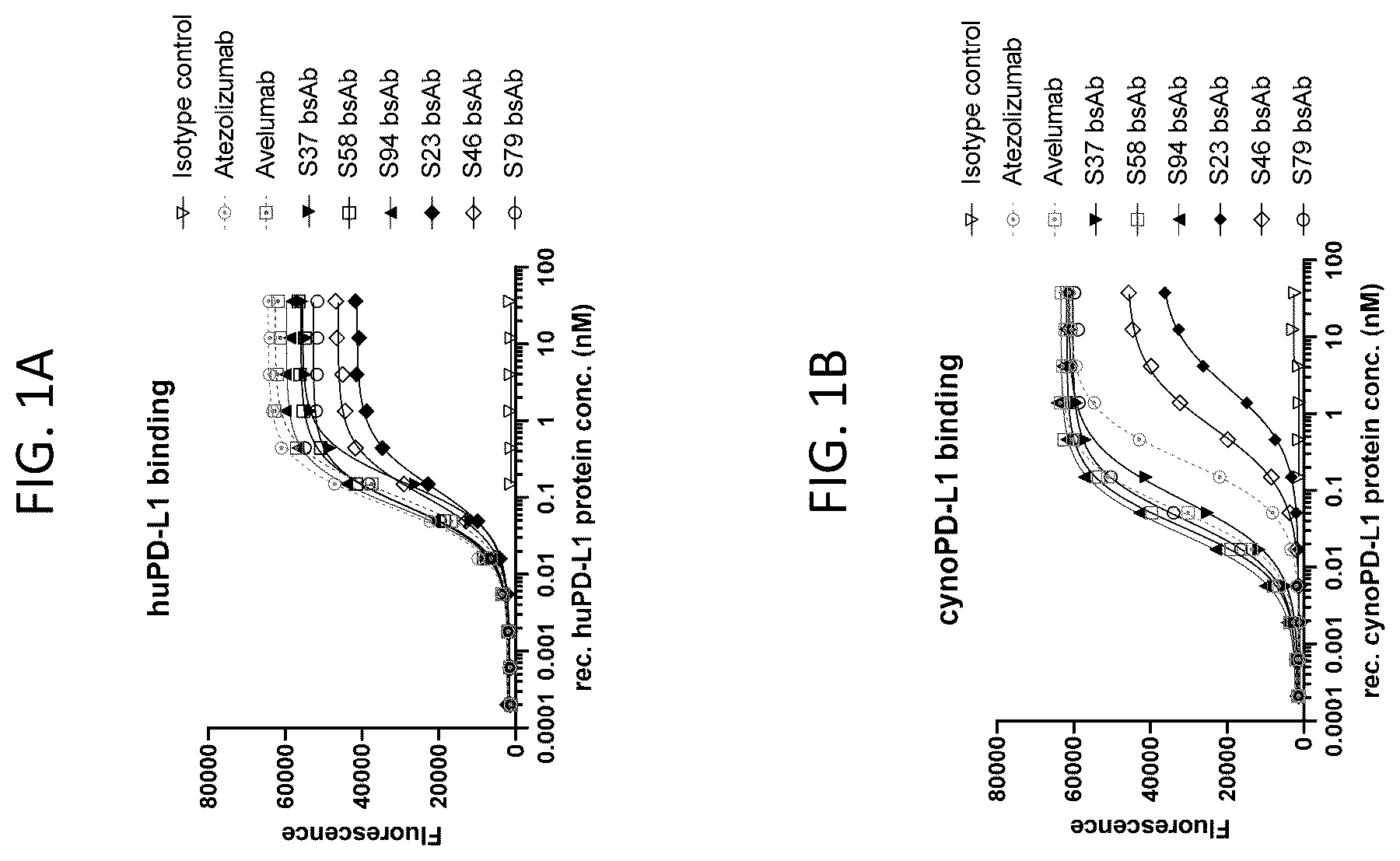 Patent US12448444 Figure 1 – Bispecific antibodies targeting CD47 and PD-L1 and methods of use thereof