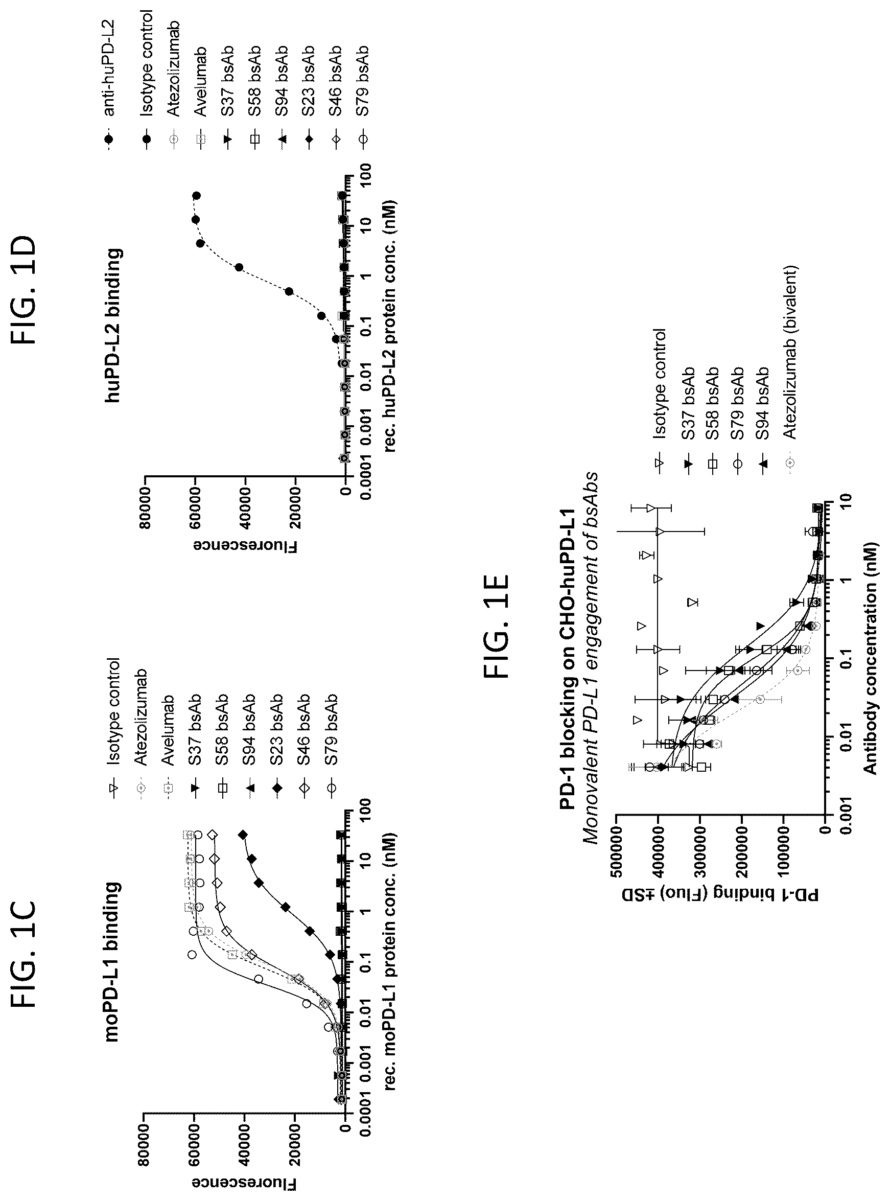 Patent US12448444 Figure 2 – Bispecific antibodies targeting CD47 and PD-L1 and methods of use thereof