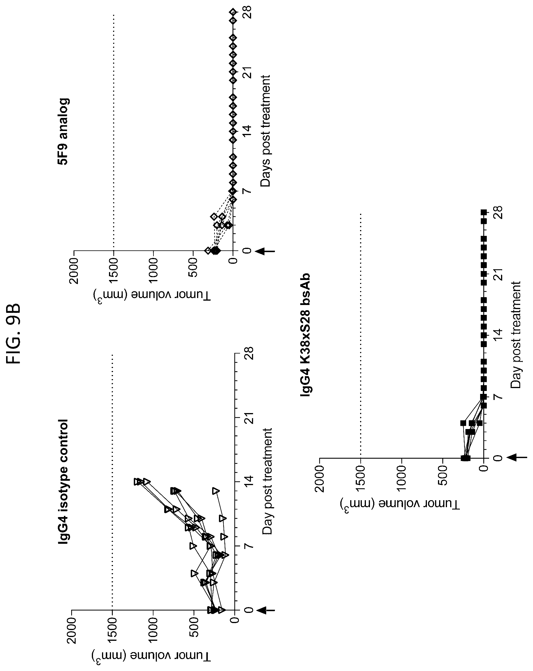 Patent US12448444 Figure 14 – Bispecific antibodies targeting CD47 and PD-L1 and methods of use thereof
