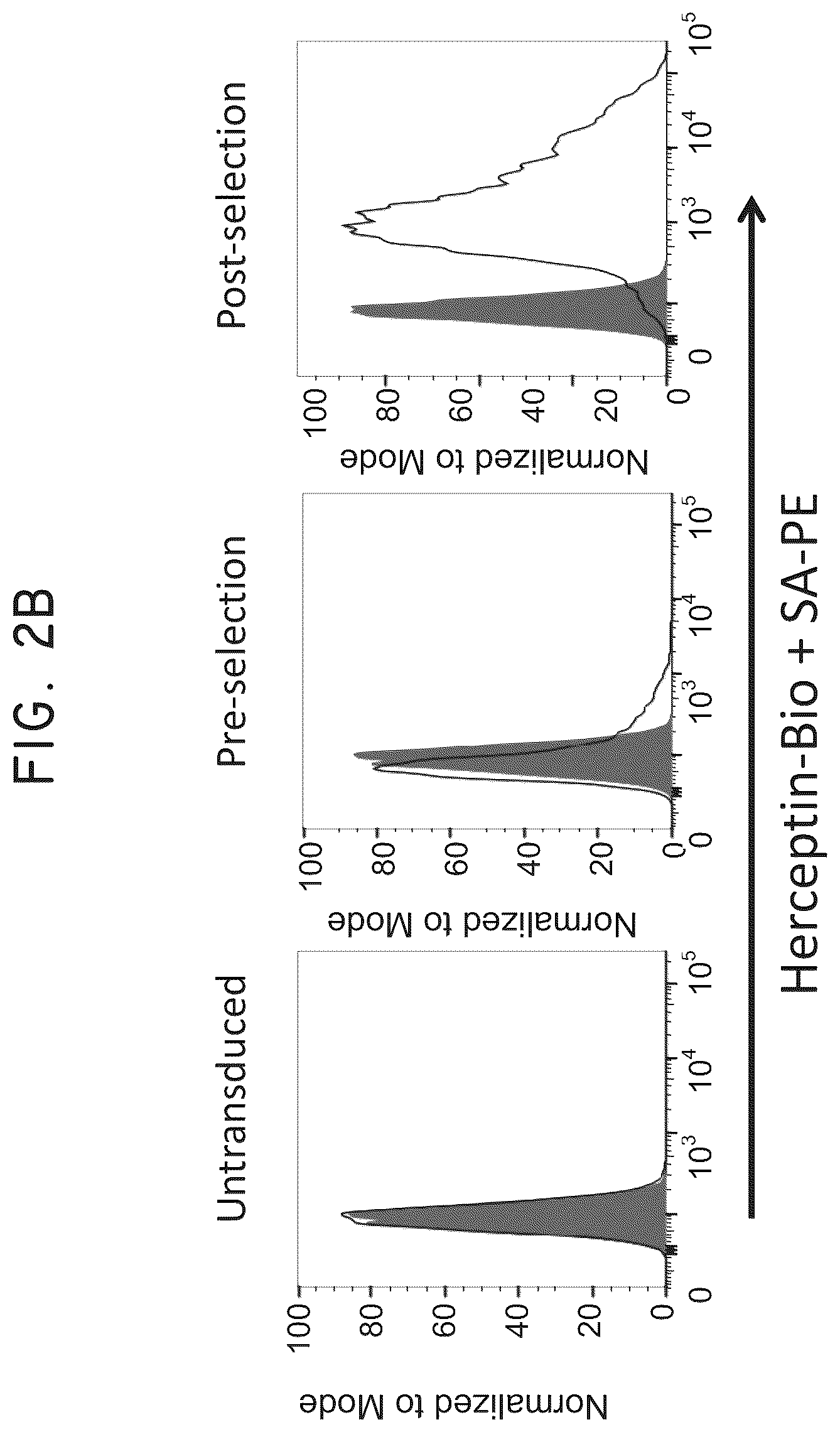 Patent US12448445 Figure 4 – Transgene genetic tags and methods of use