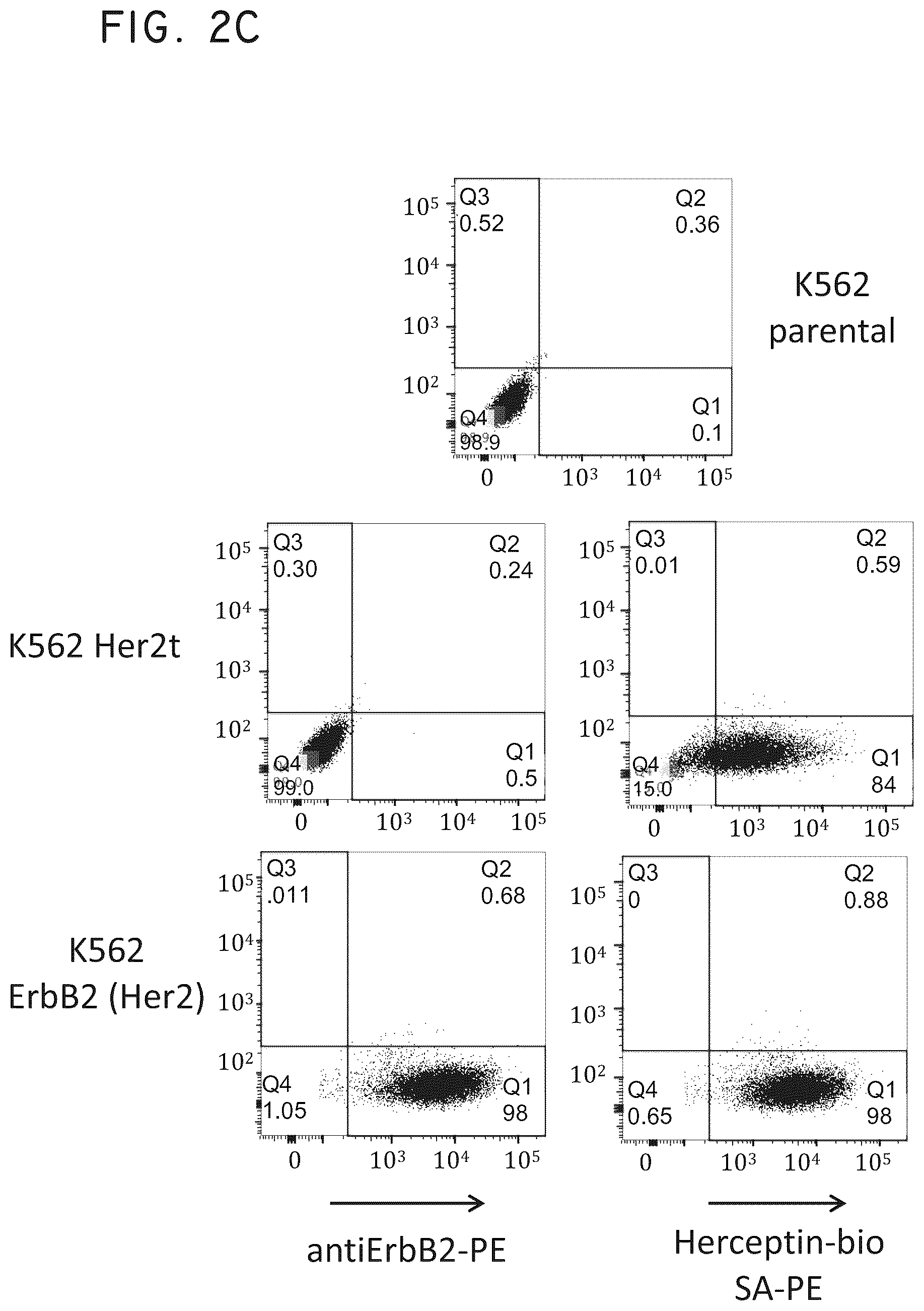 Patent US12448445 Figure 5 – Transgene genetic tags and methods of use