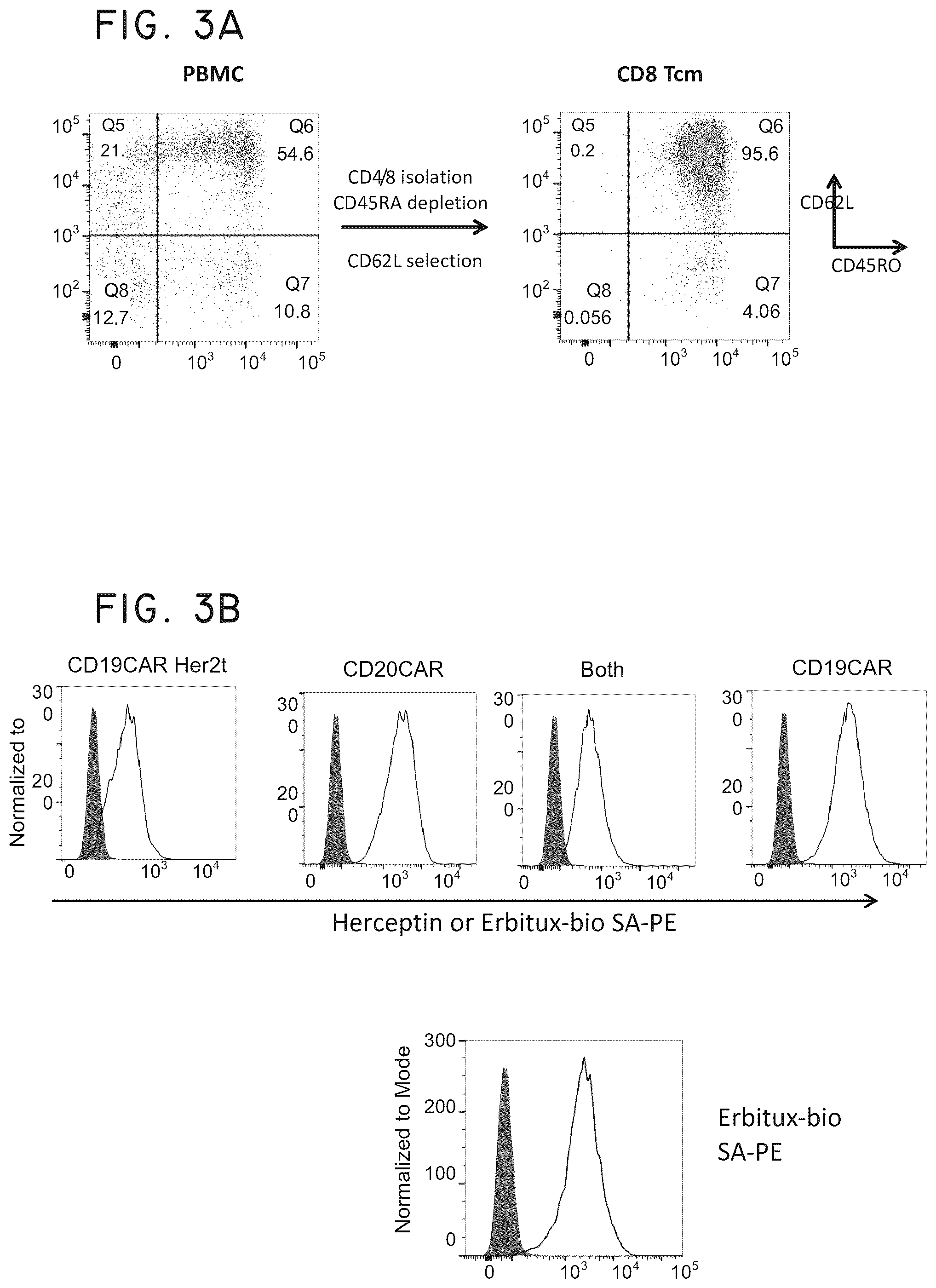 Patent US12448445 Figure 7 – Transgene genetic tags and methods of use