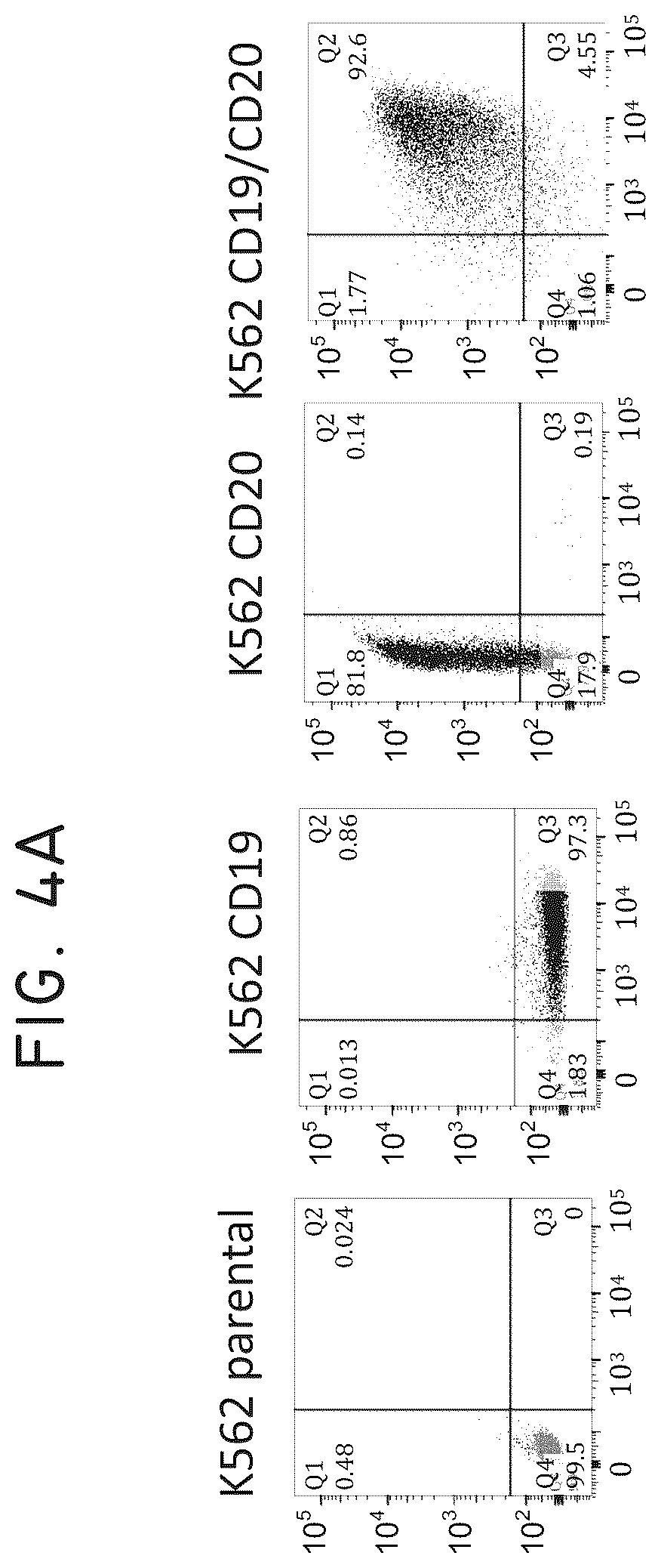 Patent US12448445 Figure 9 – Transgene genetic tags and methods of use